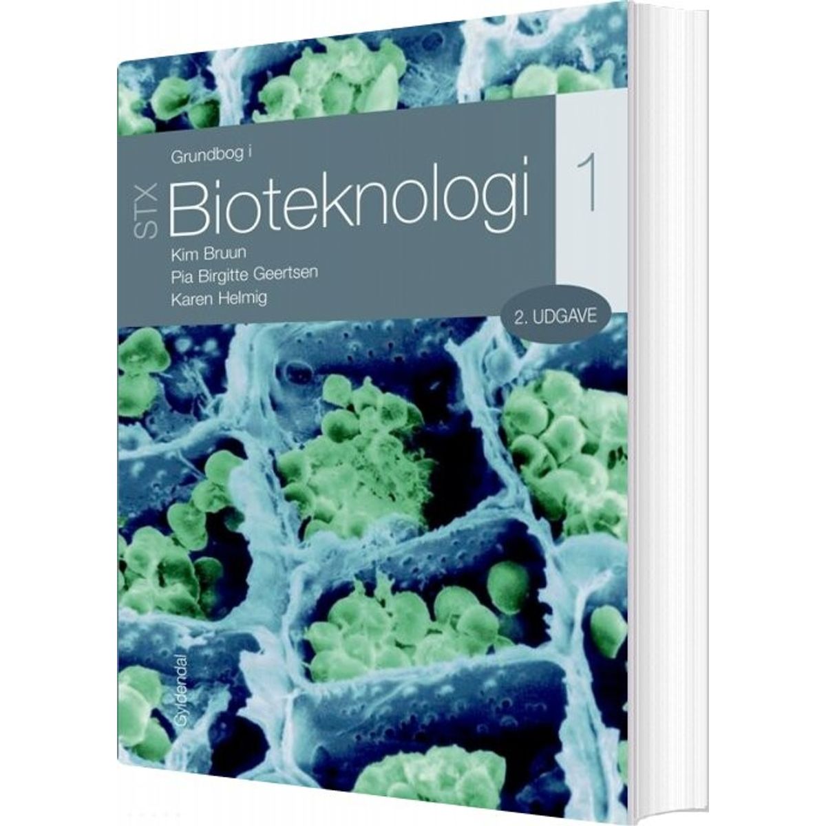 Grundbog I Bioteknologi 1 - Stx - Kim Bruun - Bog