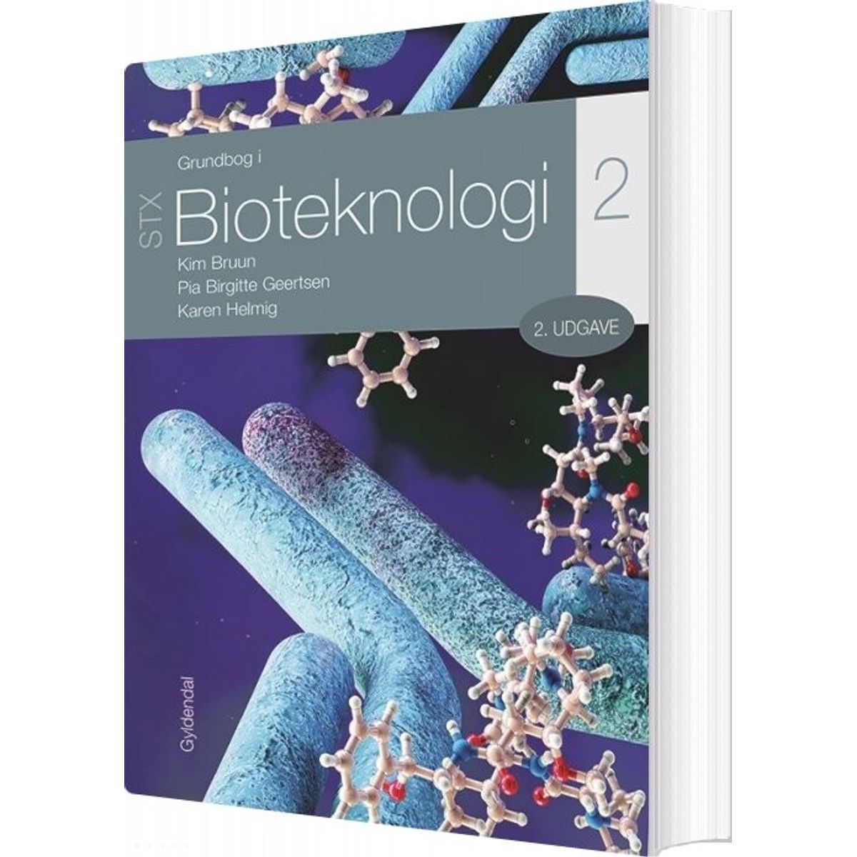 Grundbog I Bioteknologi 2 - Stx - Kim Bruun - Bog