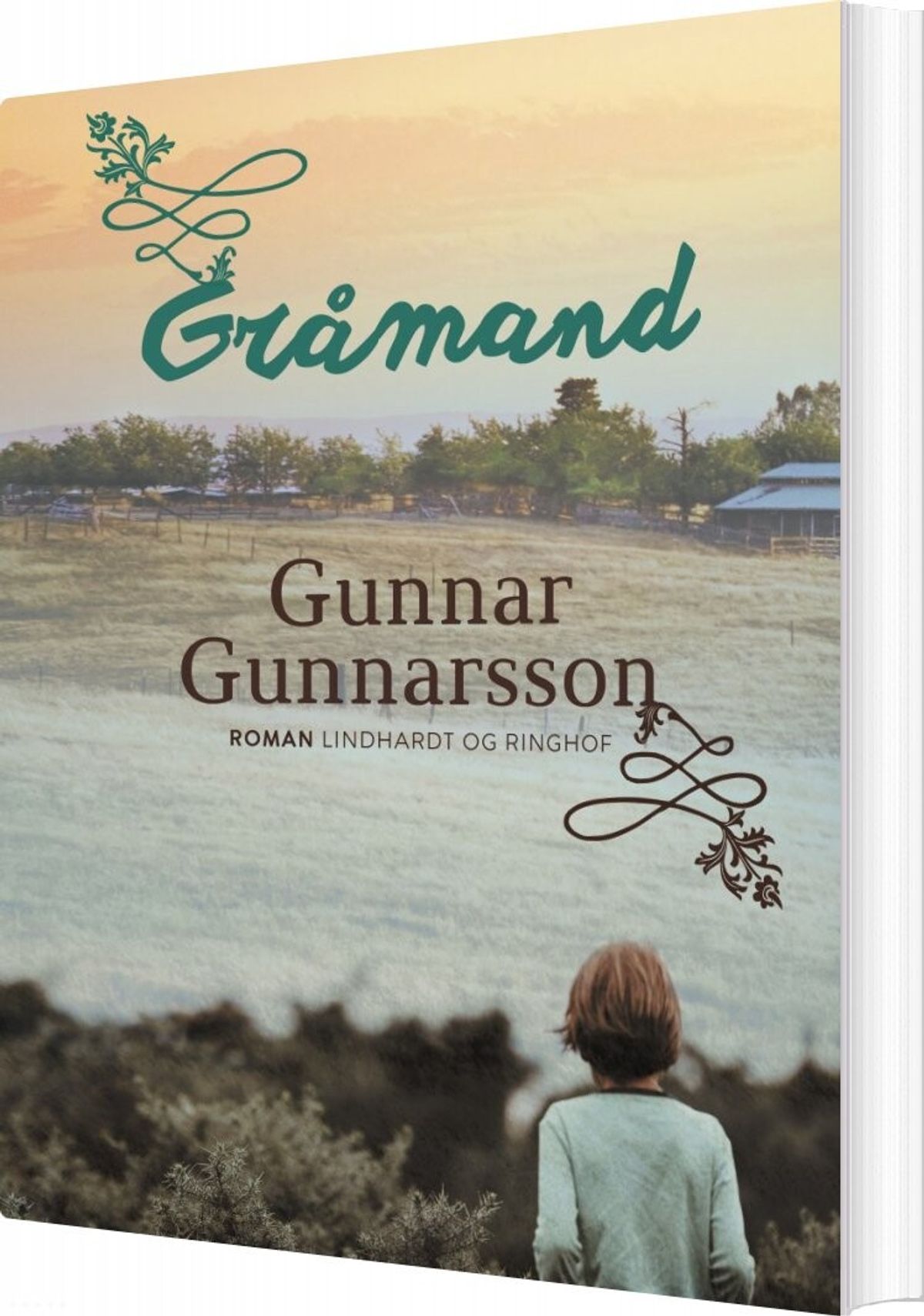 Gråmand - Gunnar Gunnarsson - Bog