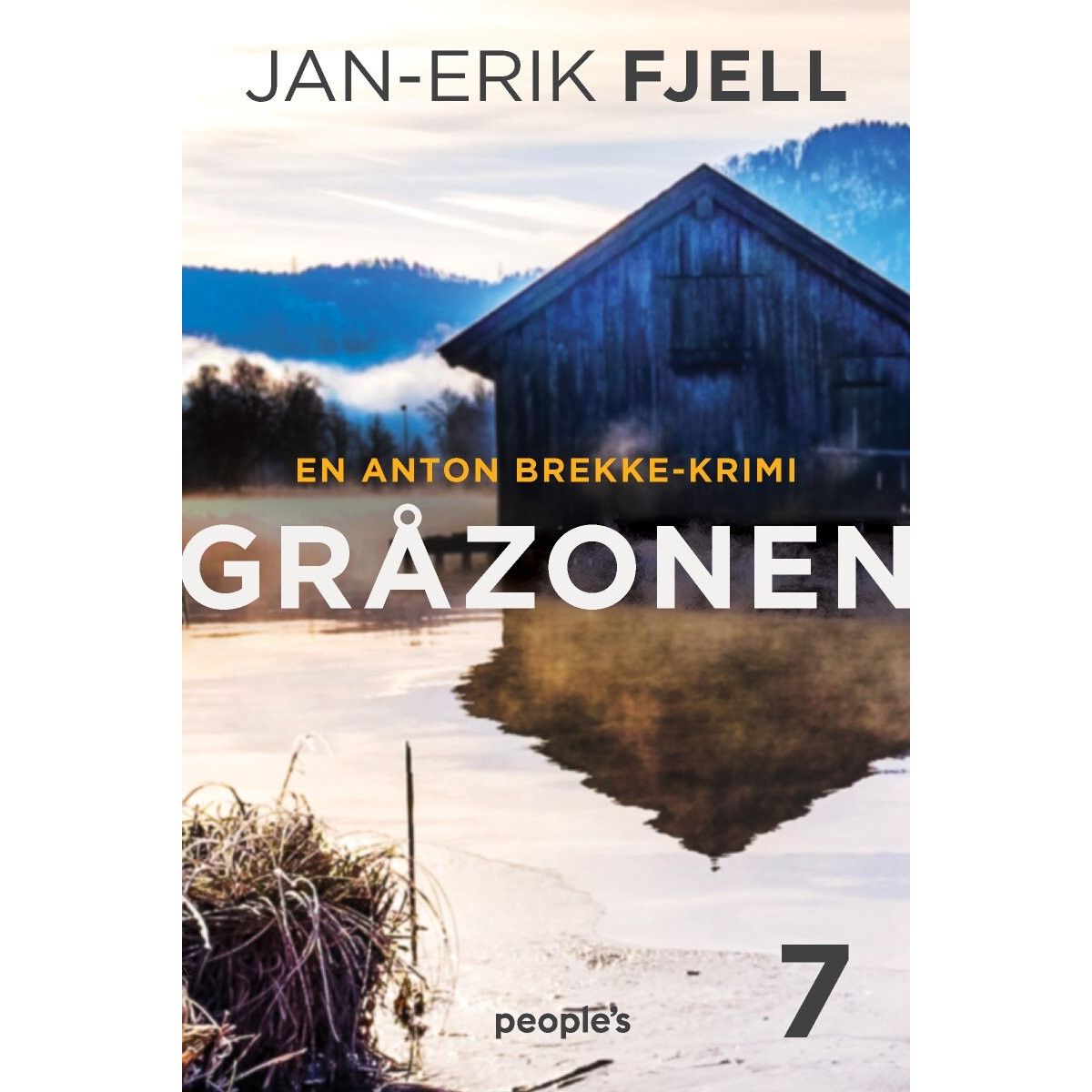 Gråzonen - Jan-erik Fjell - Bog