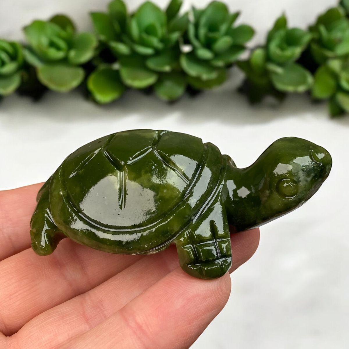 Grøn jade skildpadde