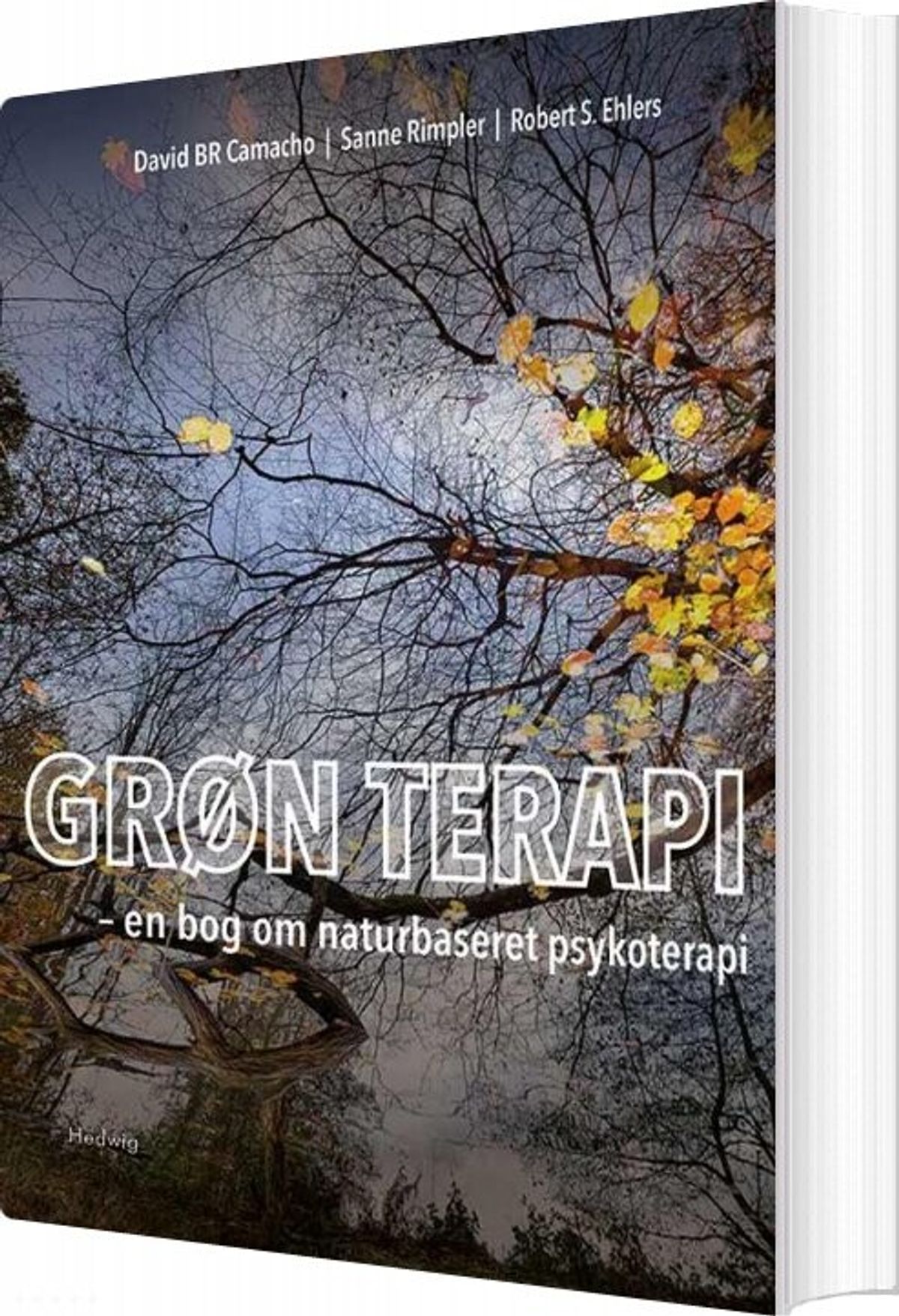 Grøn Terapi - David Br Camacho - Bog