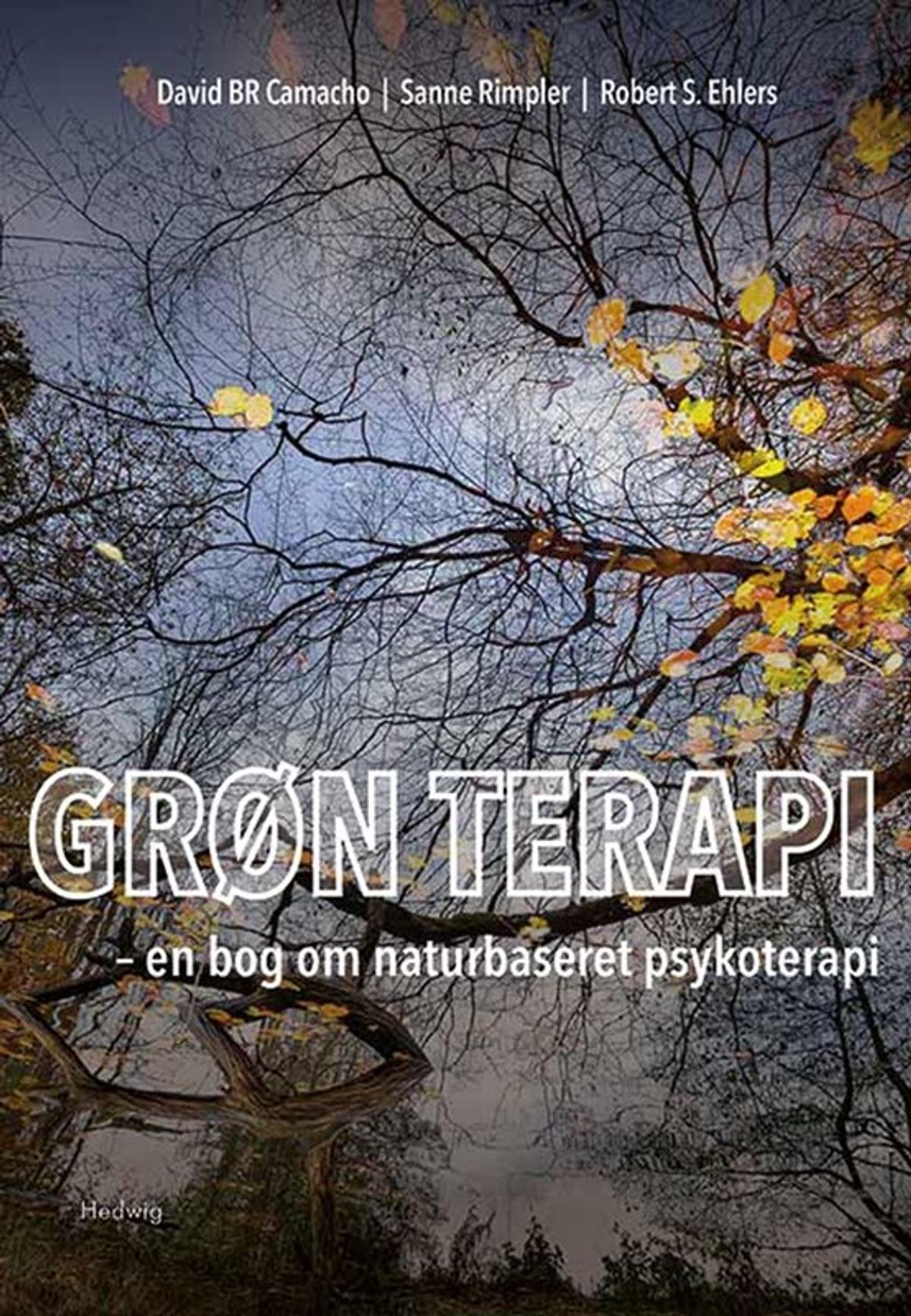 Grøn terapi