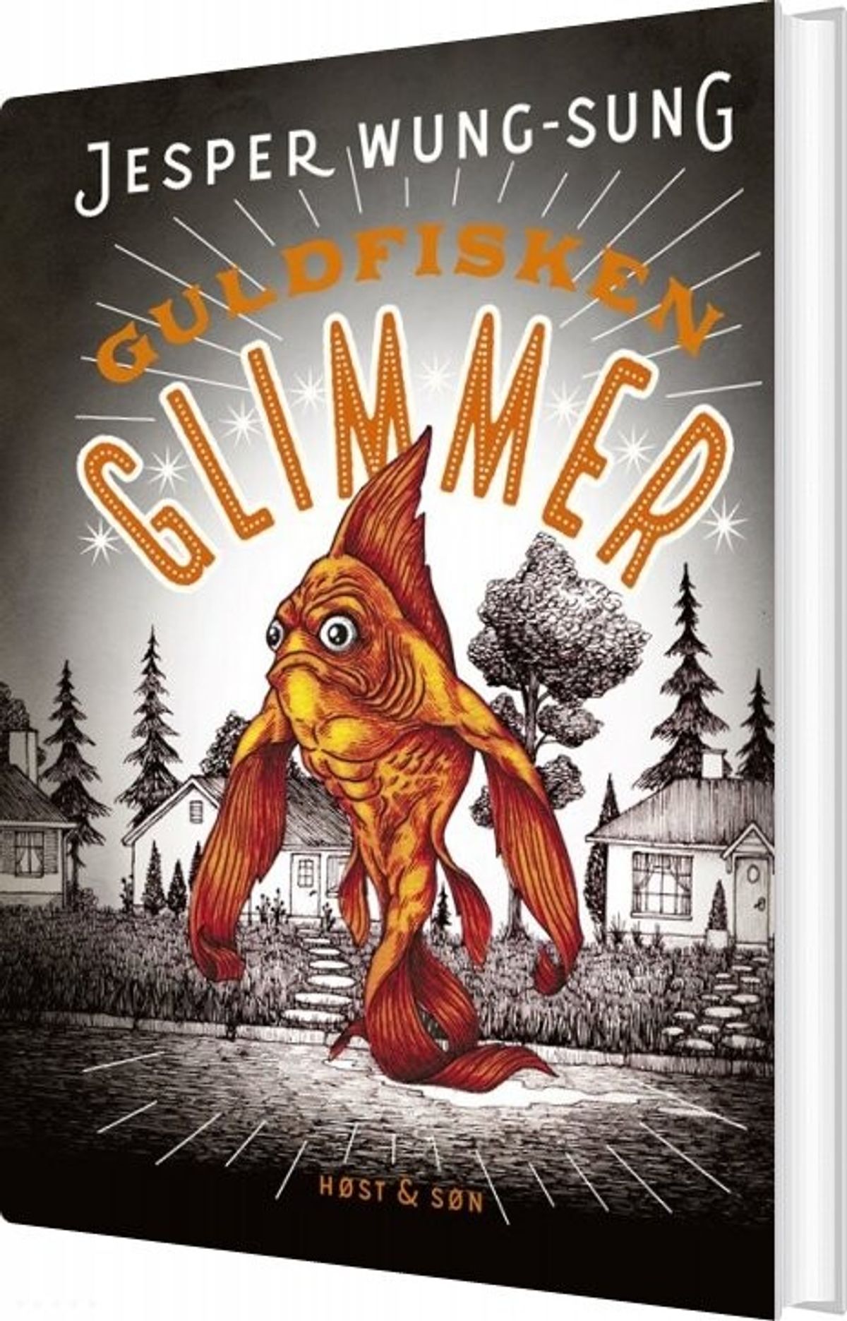 Guldfisken Glimmer - Jesper Wung-sung - Bog