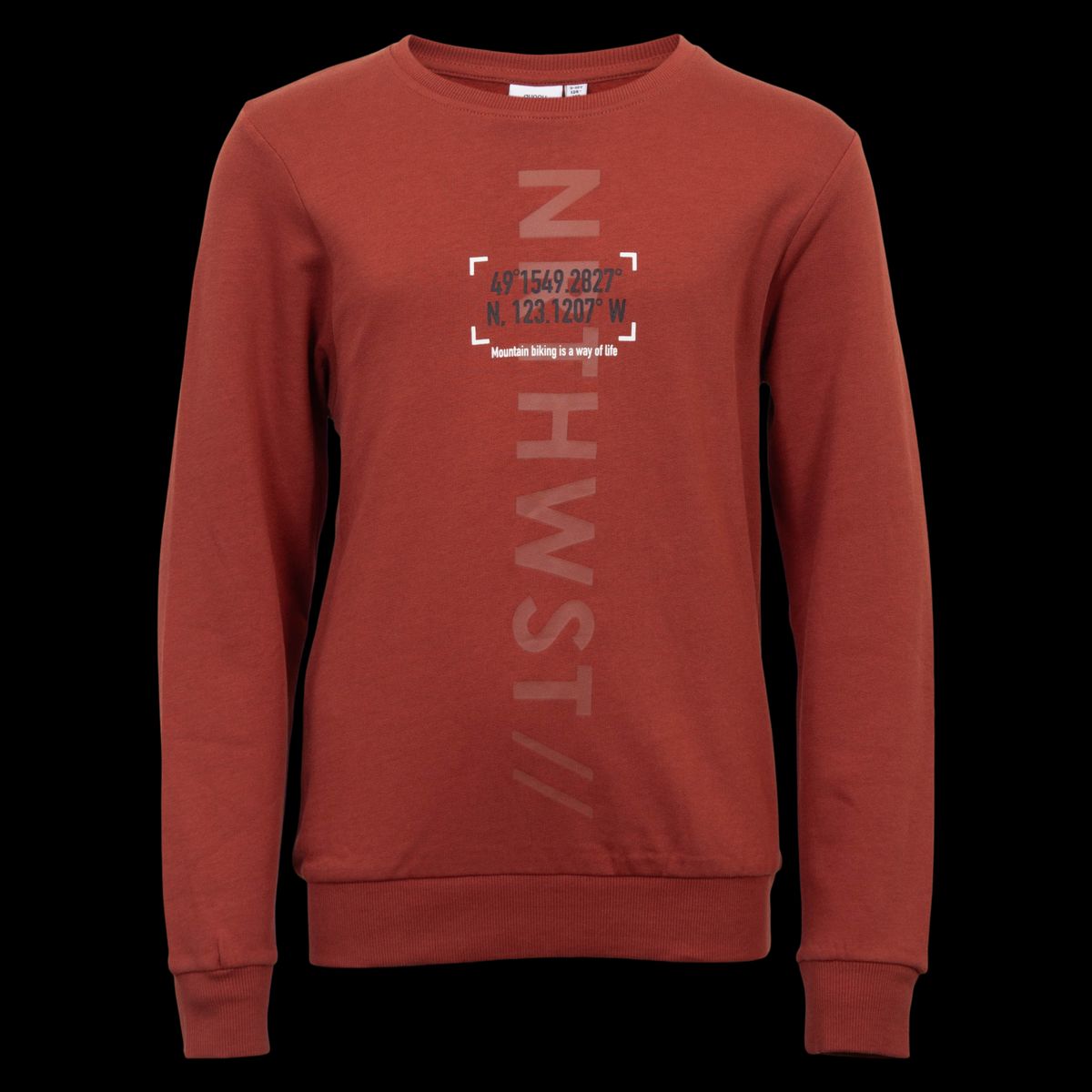 Guppy Rocco Drenge Sweatshirt - Arabian Spice - 122/128