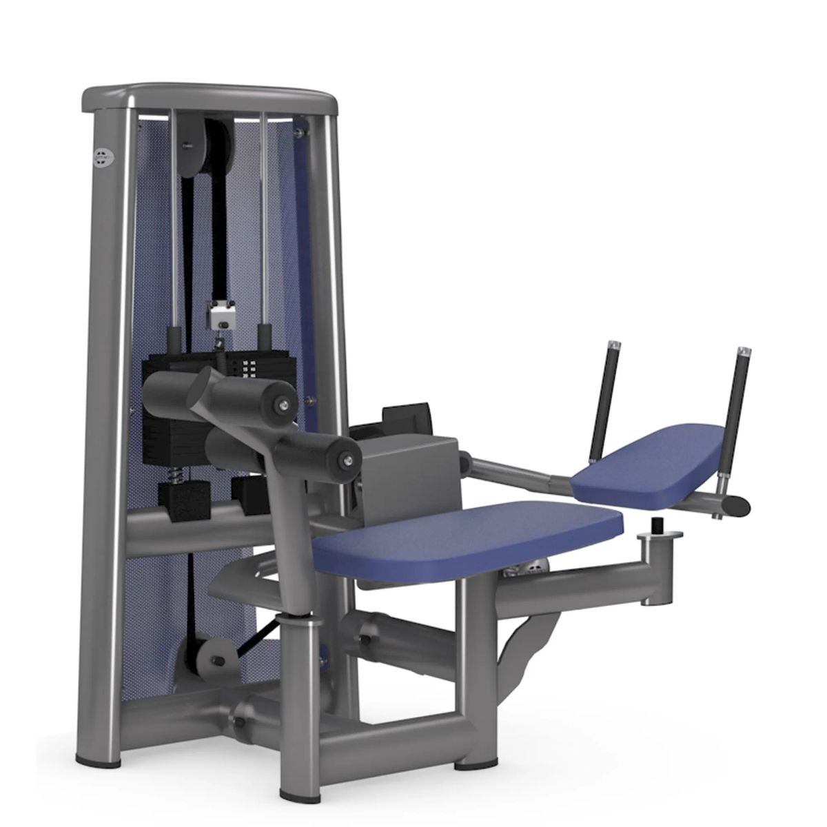 gym80 Sygnum Abdominal Crunch Machine