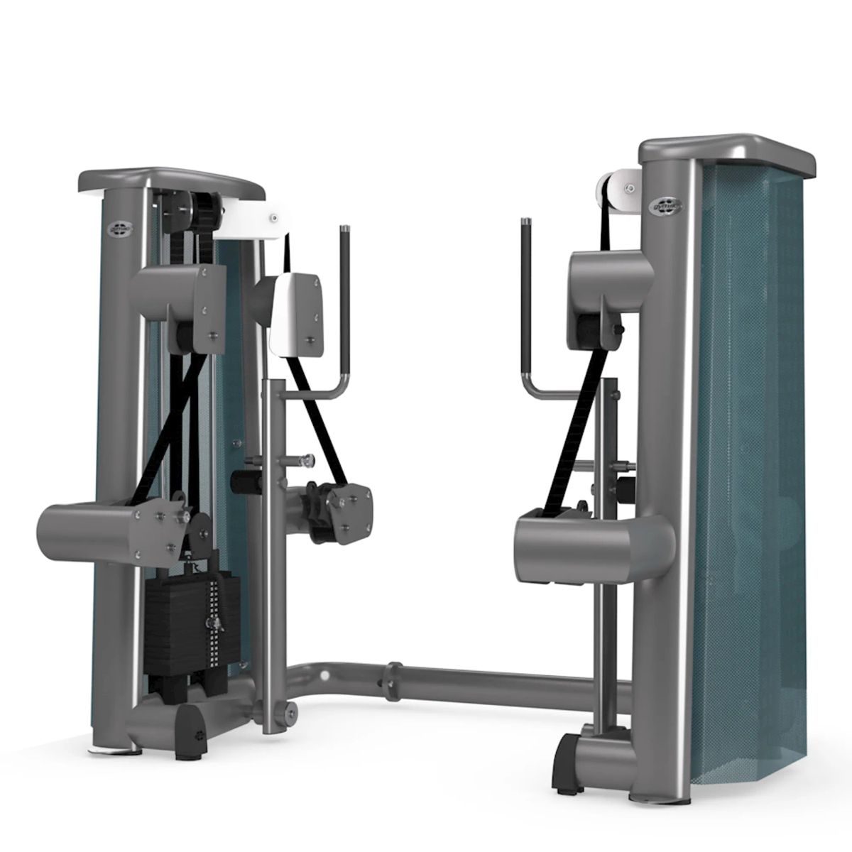 gym80 Sygnum Dual Pull And Push Machine