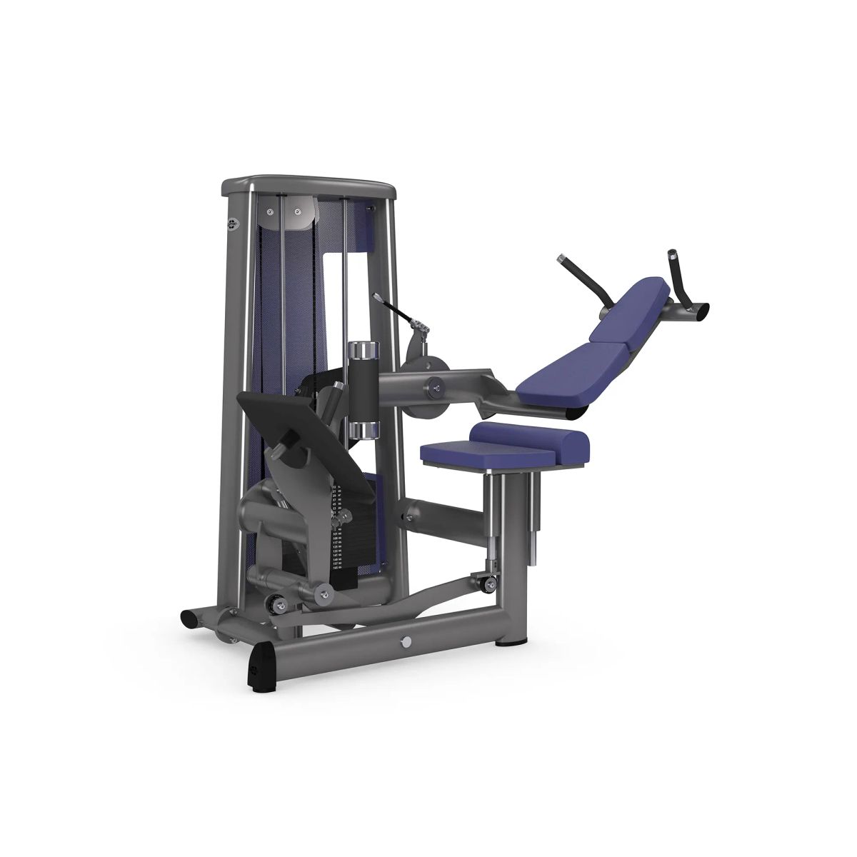 gym80 Sygnum Multi Extension Machine