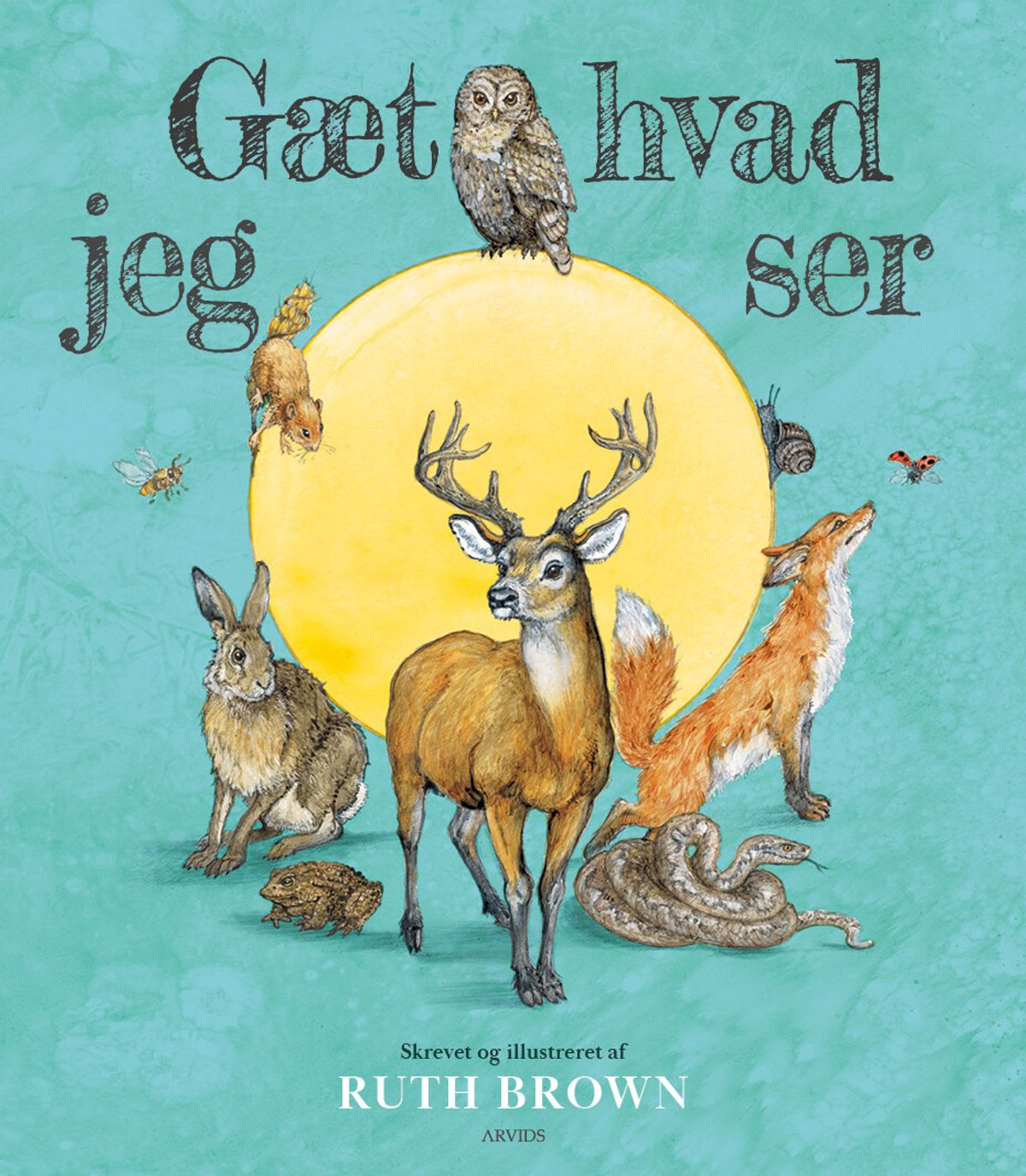 Gæt Hvad Jeg Ser - Ruth Brown - Bog