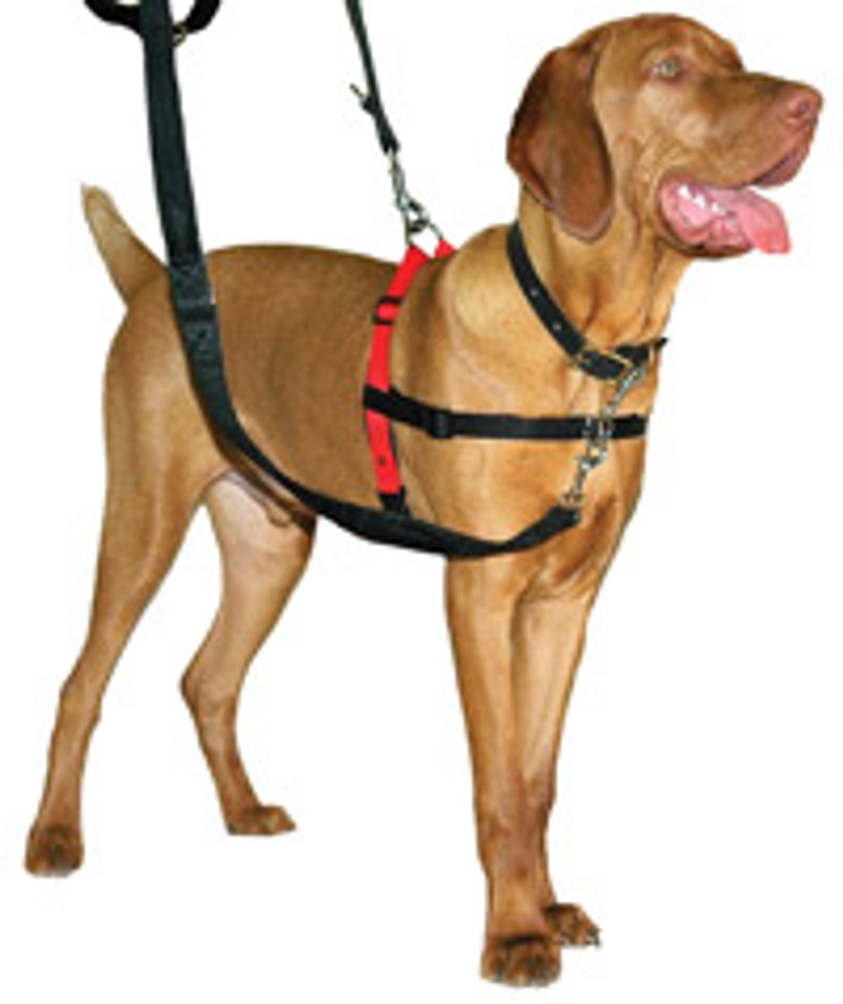 Halti Harness "antitræk sele" Front Control Harness.