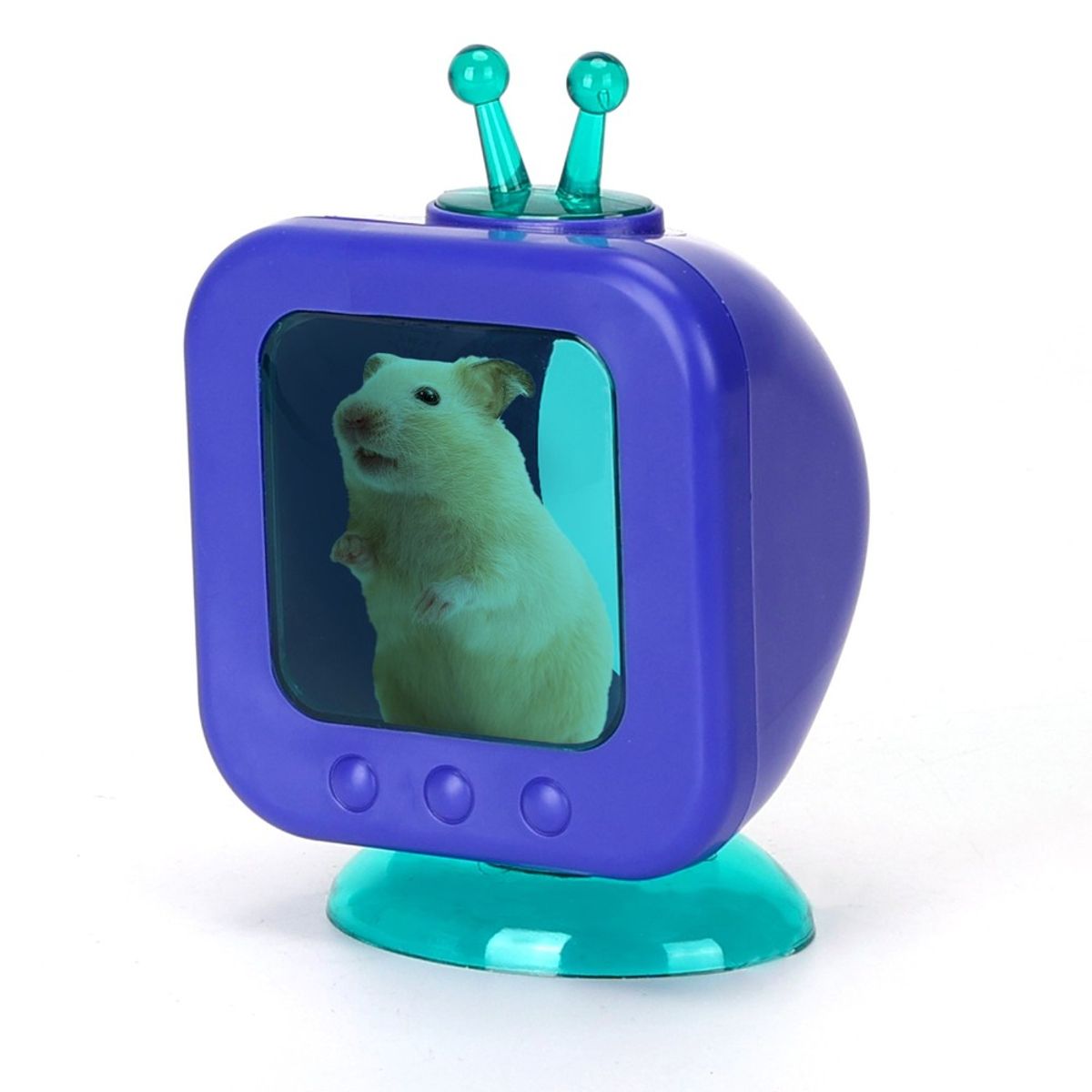 Hamster-TV L9xB7xH13cm - Blå