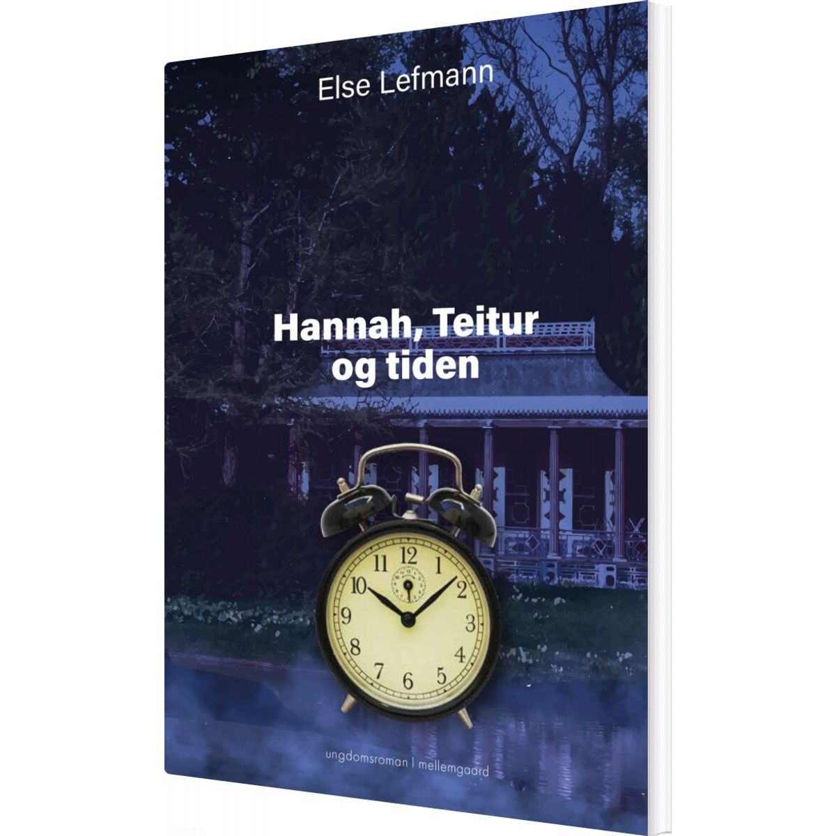 Hannah, Teitur Og Tiden - Else Lefmann - Bog