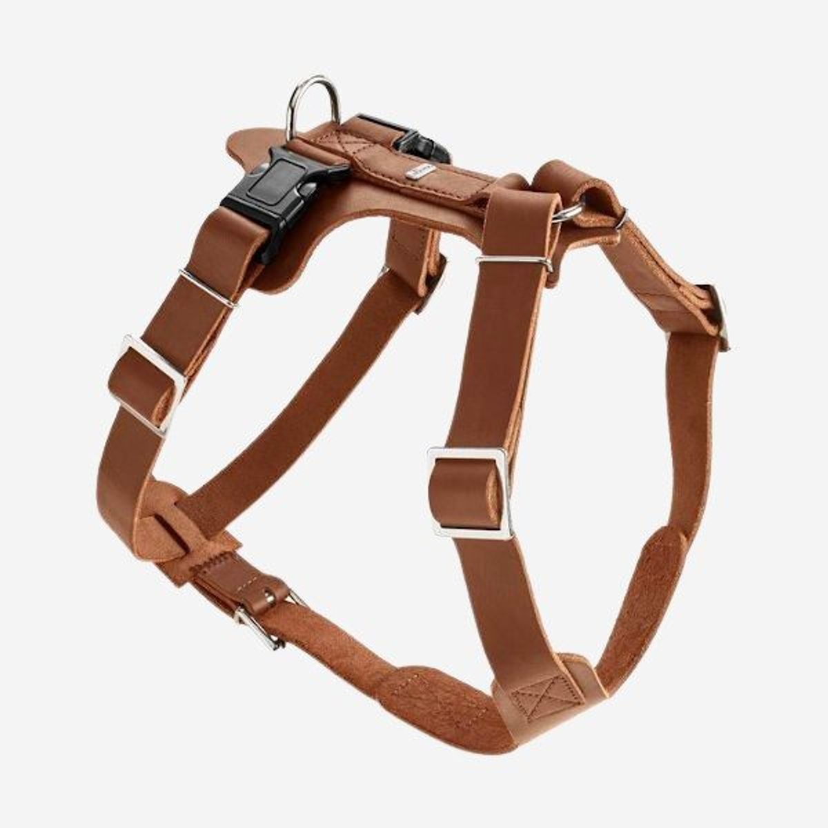 Harness Aalborg // Hunter y-sele i læder (cognac) - M/L1