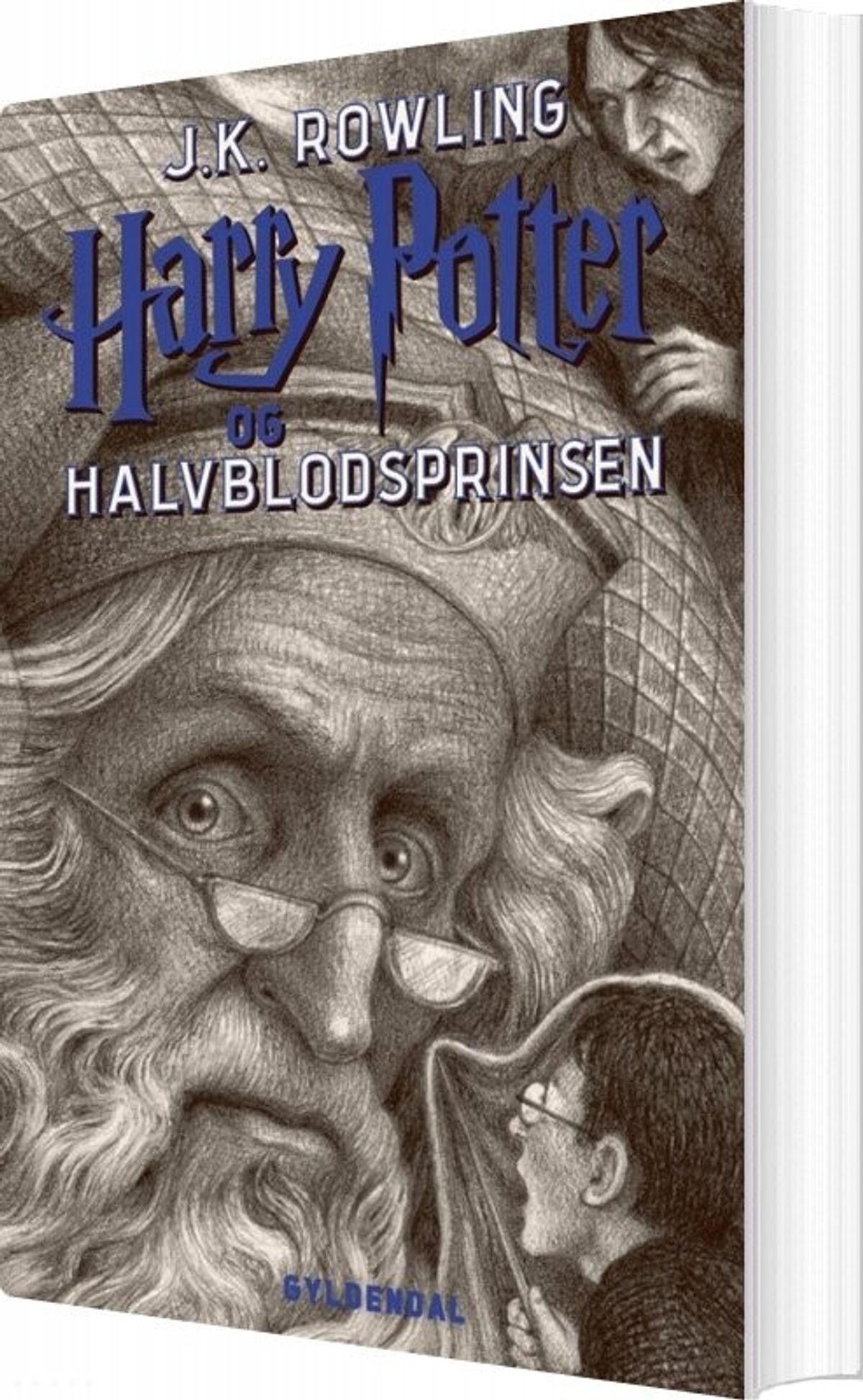 Harry Potter 6 - Harry Potter Og Halvblodsprinsen - J. K. Rowling - Bog