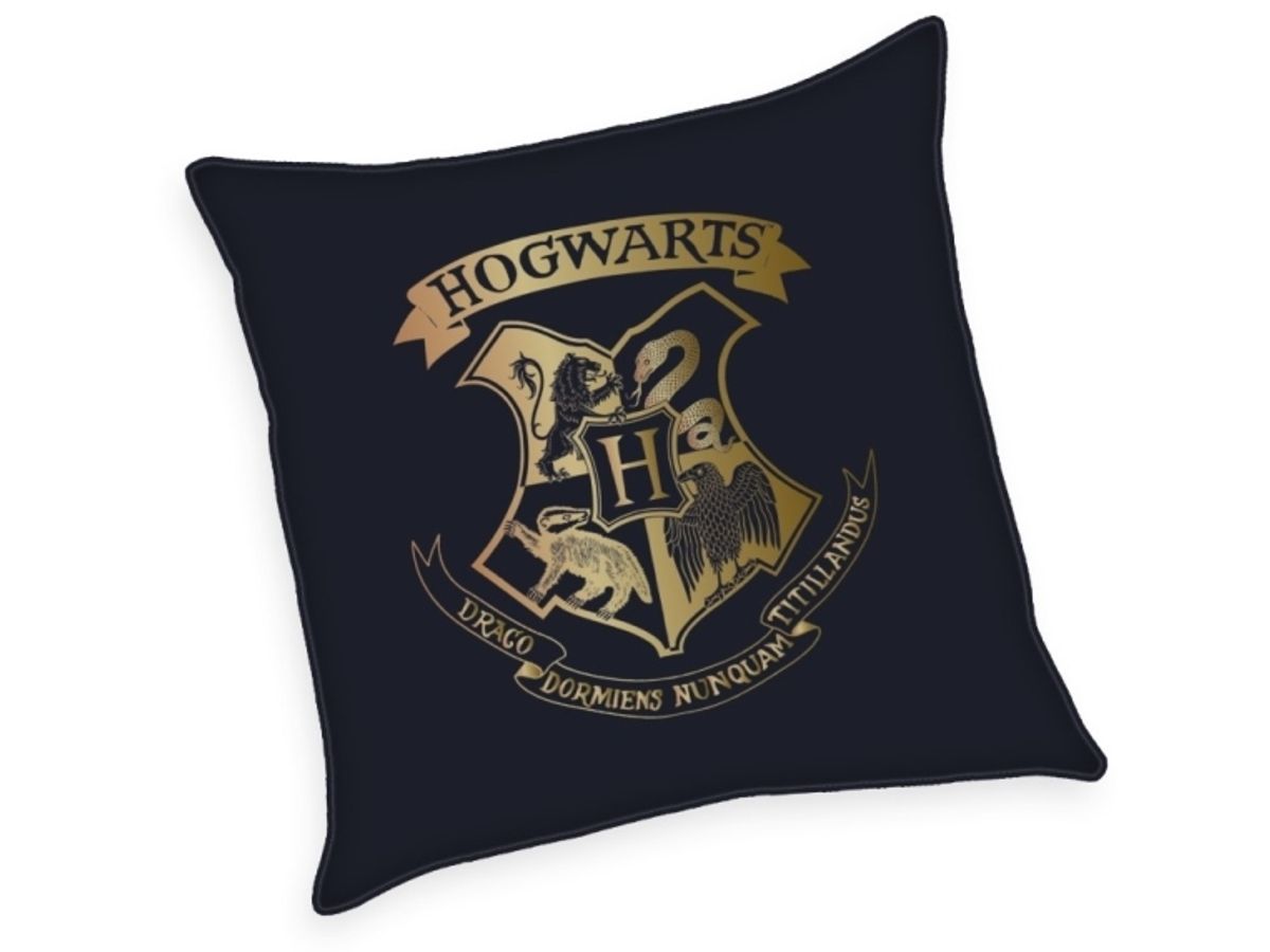 Harry Potter Pude Med Guld Print