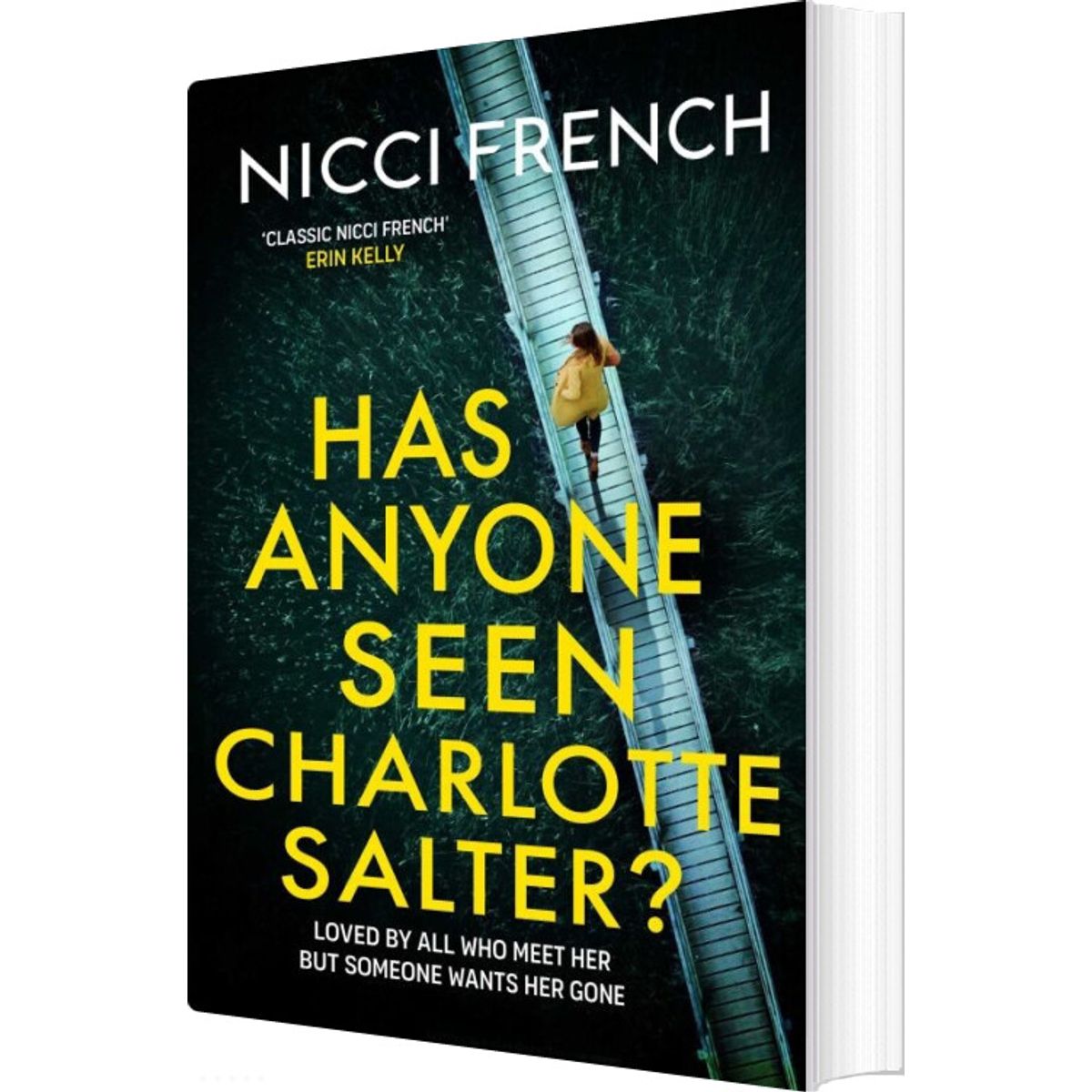 Has Anyone Seen Charlotte Salter? - Nicci French - English Book