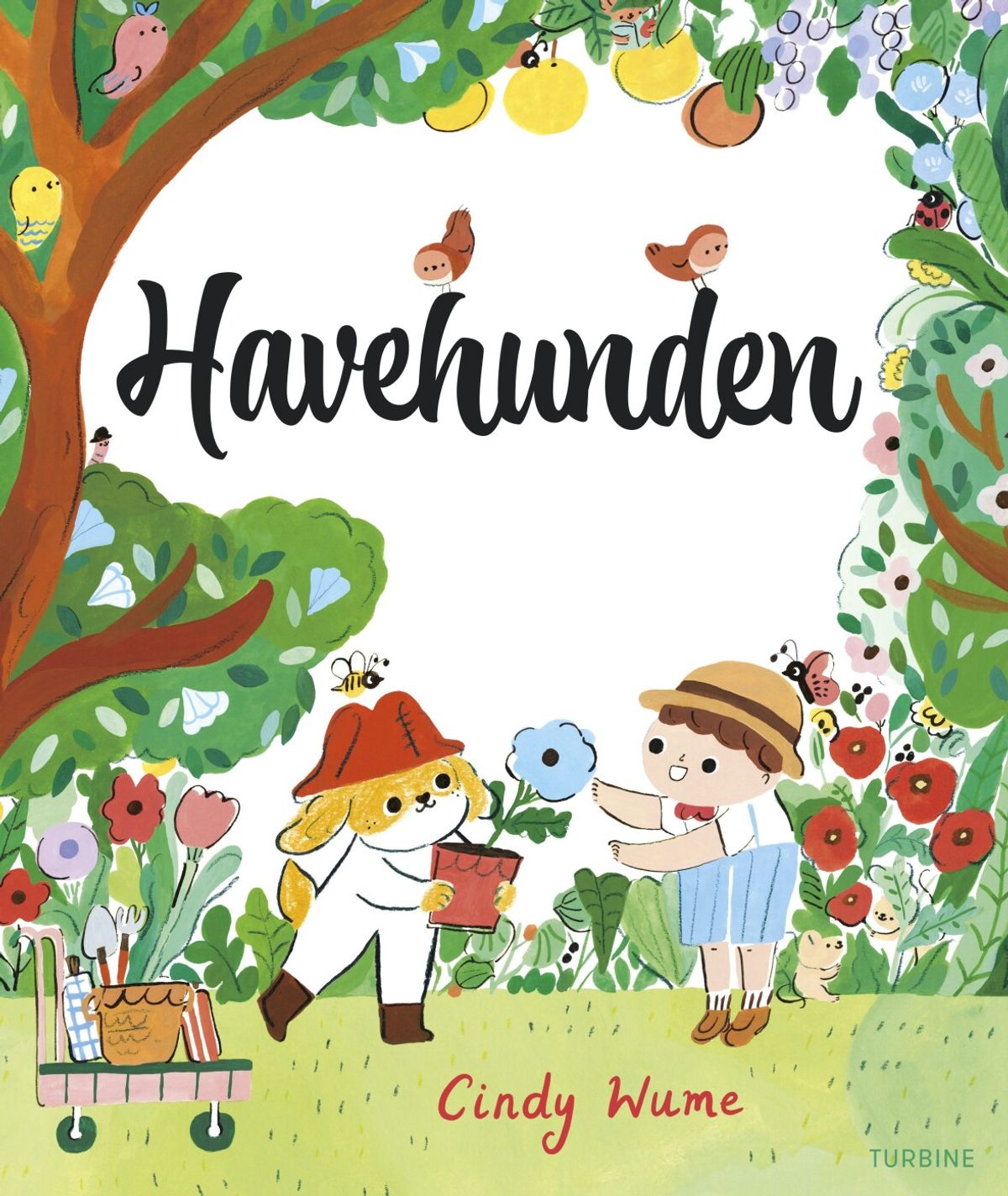 Havehunden - Cindy Wume - Bog