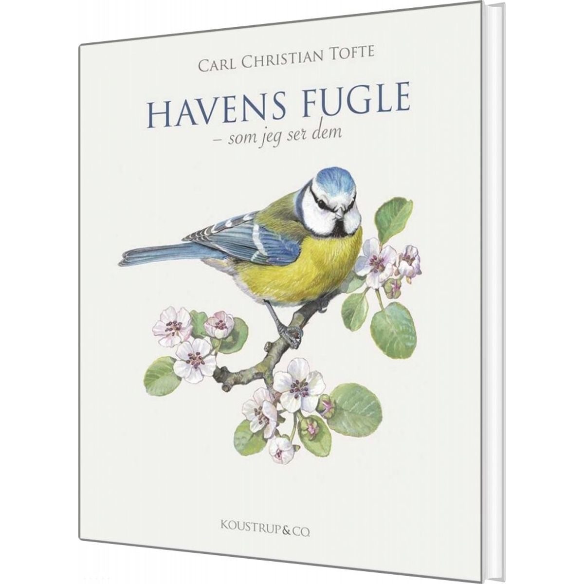 Havens Fugle - Carl Christian Tofte - Bog