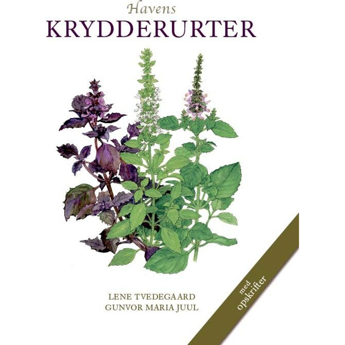 Havens Krydderurter - Lene Tvedegaard - Bog