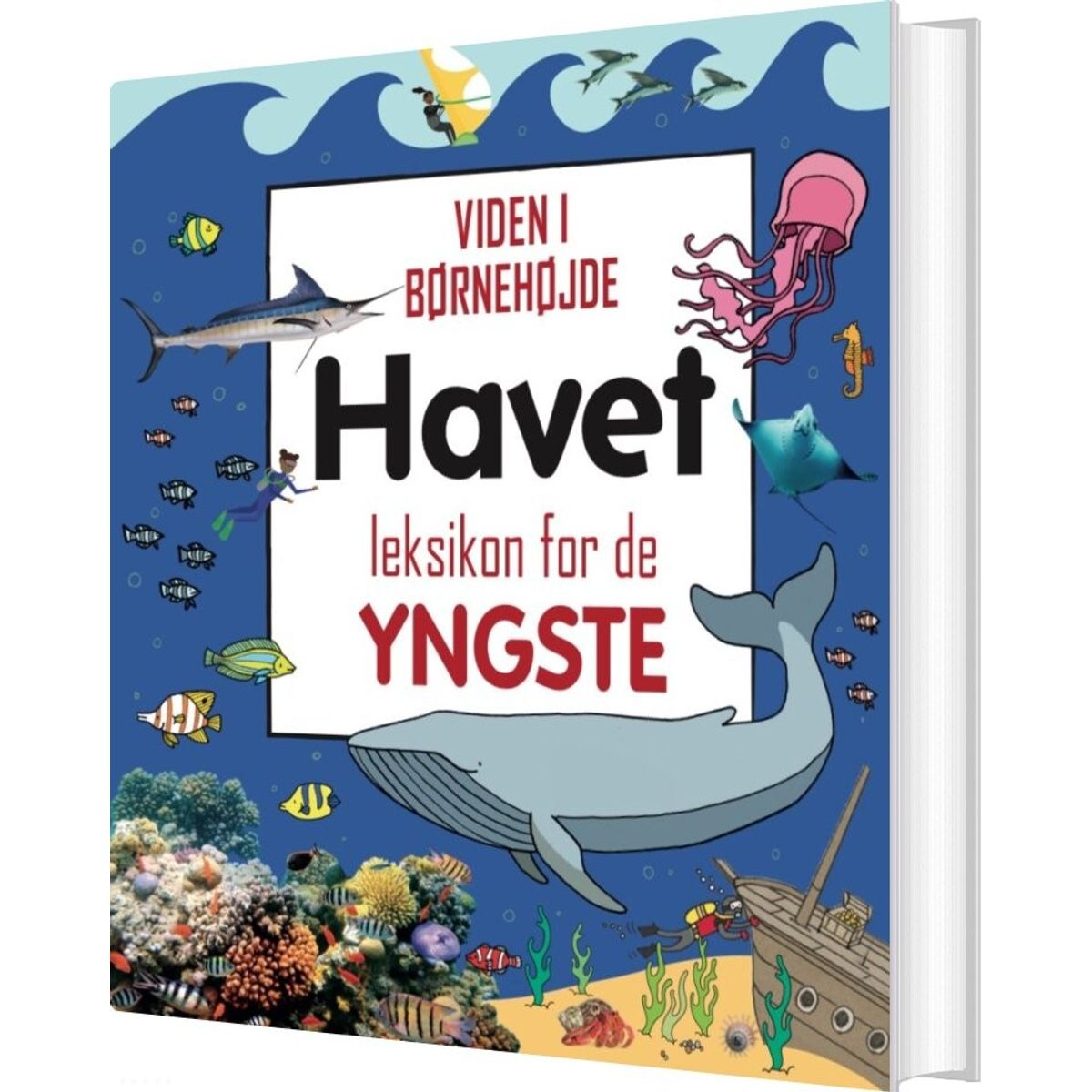 Havet - Leksikon For De Yngste - Diverse - Bog