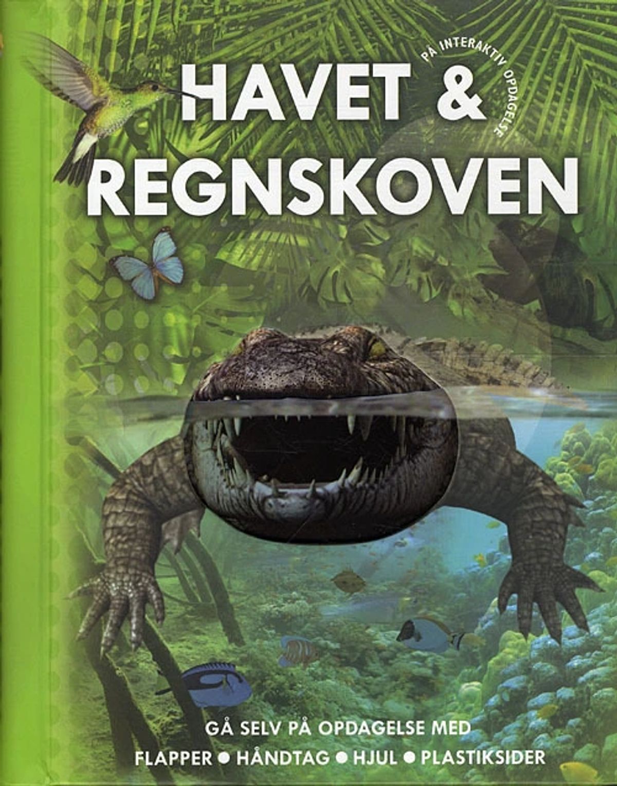 Havet & regnskoven