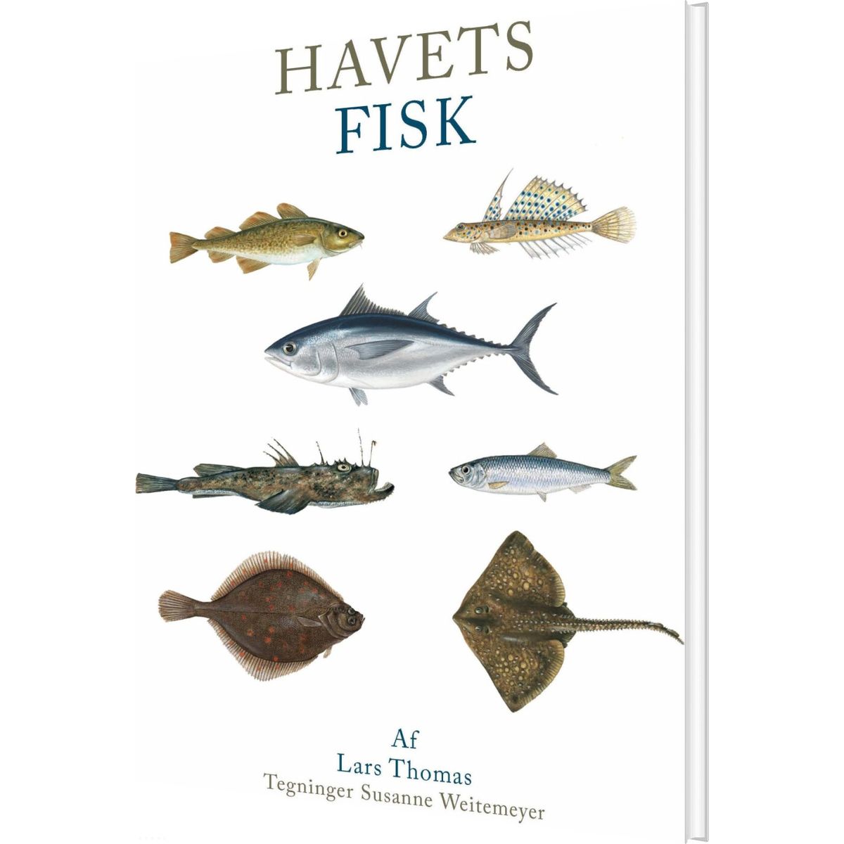 Havets Fisk - Lars Thomas - Bog