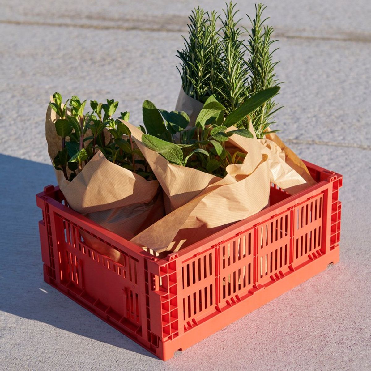 Hay Colour Crate M, red