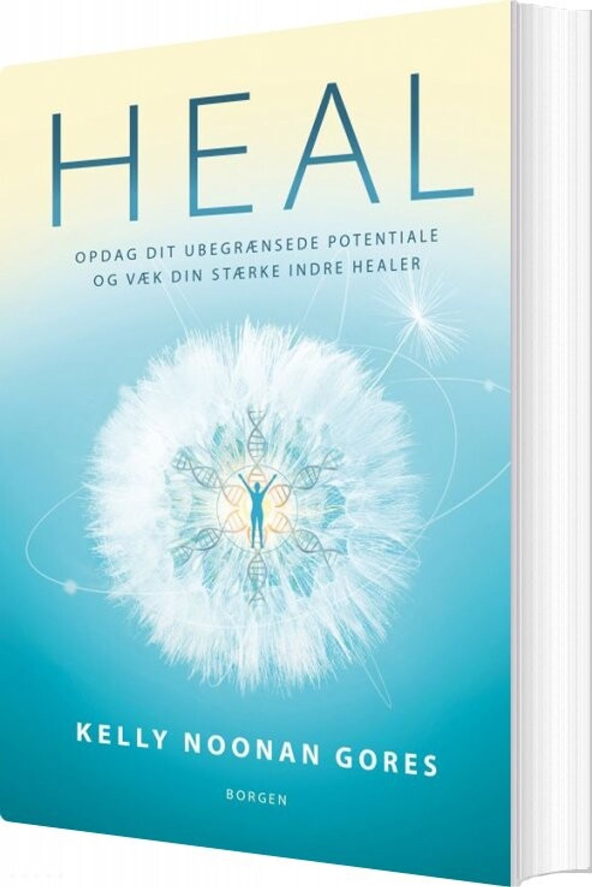 Heal - Kelly Noonan Gores - Bog