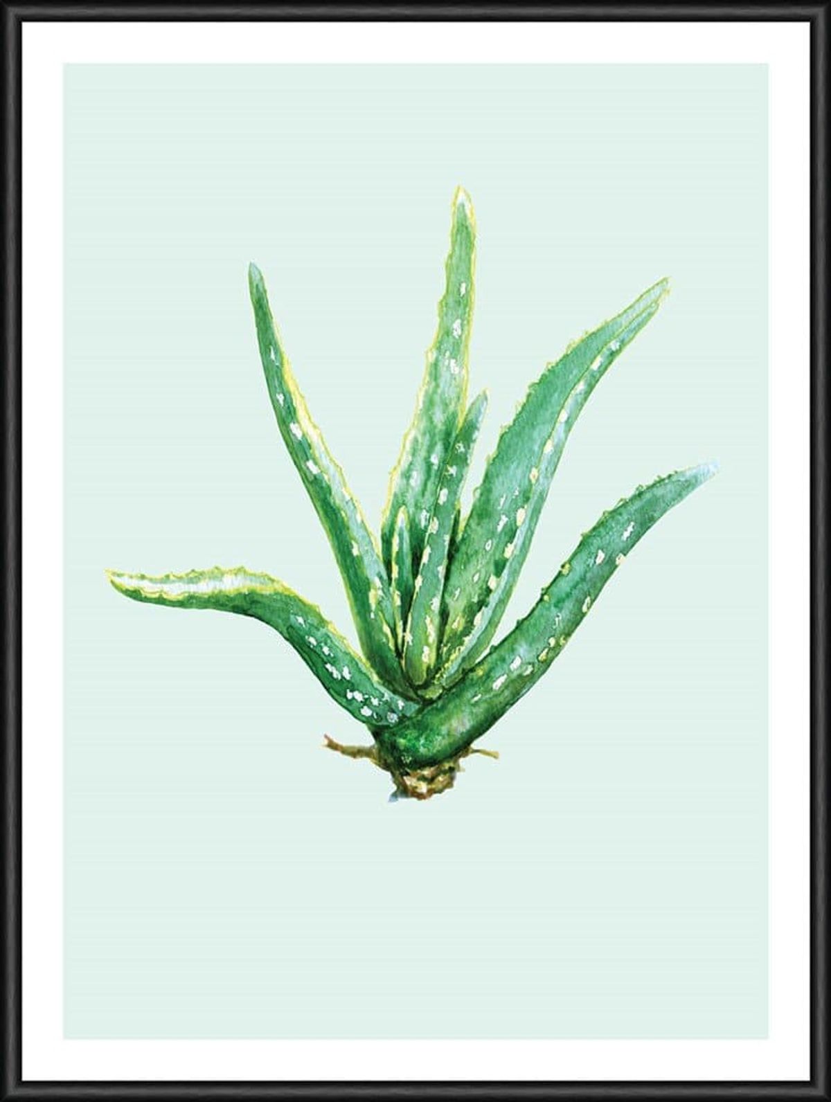 Heaven on 3rd Aloe Vera 30x40