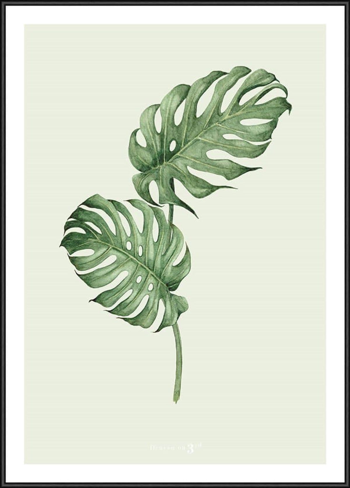 Heaven on 3rd Monstera 30x40