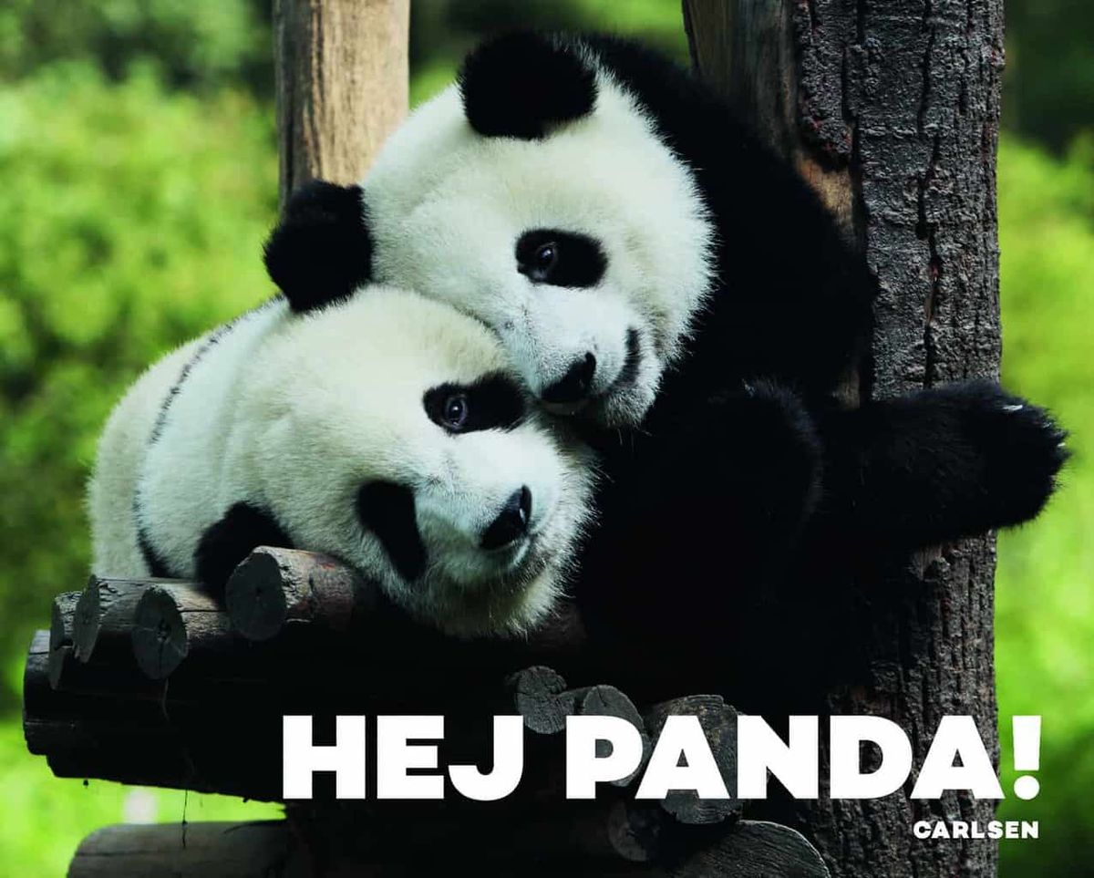 Hej Panda!