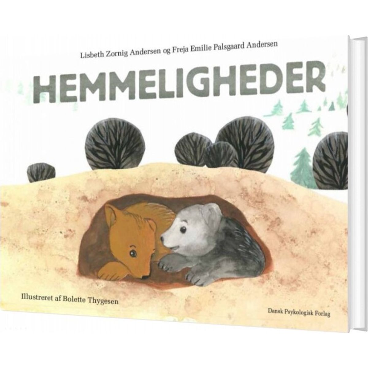 Hemmeligheder - Lisbeth Zornig Andersen - Bog