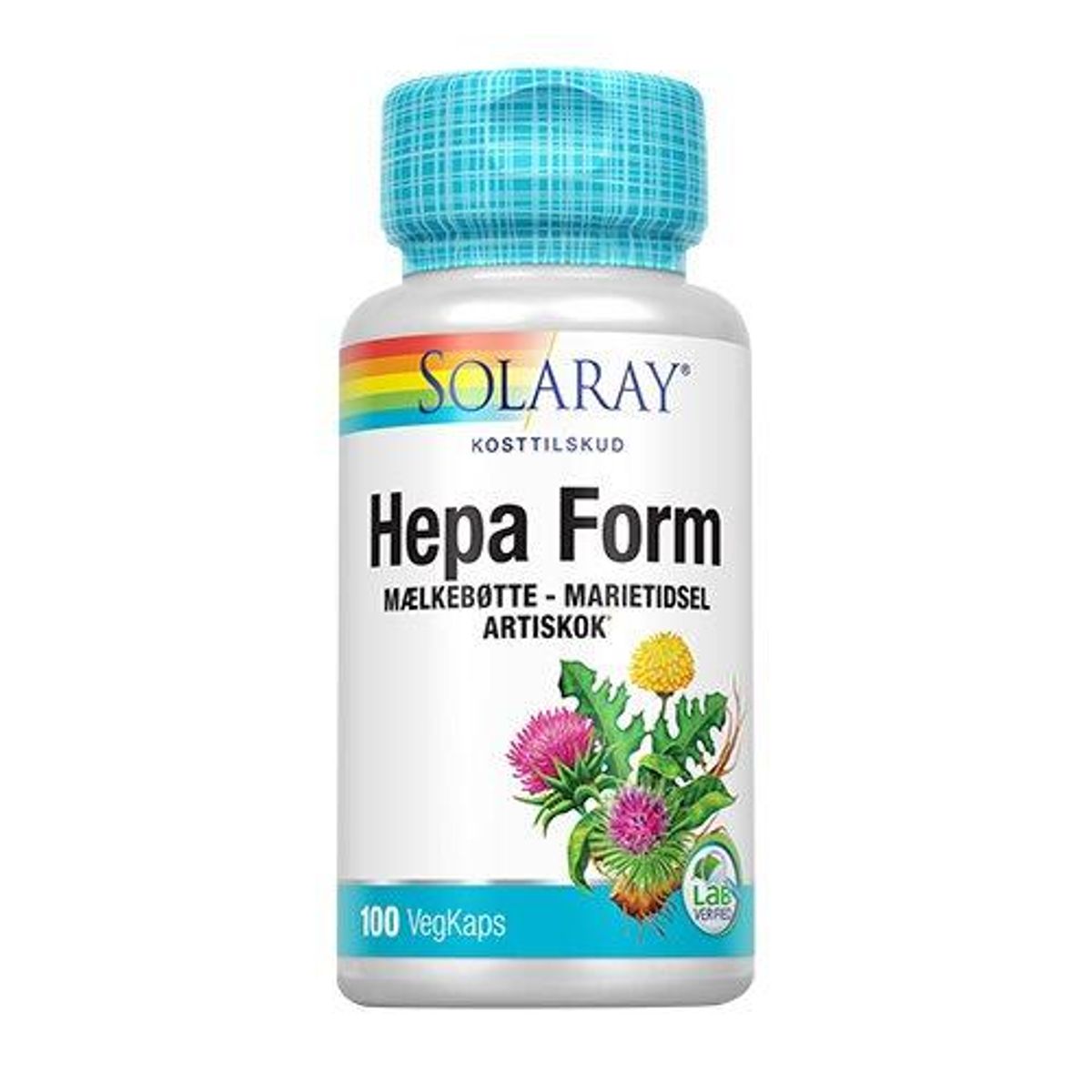 Hepa Form - 100 kap