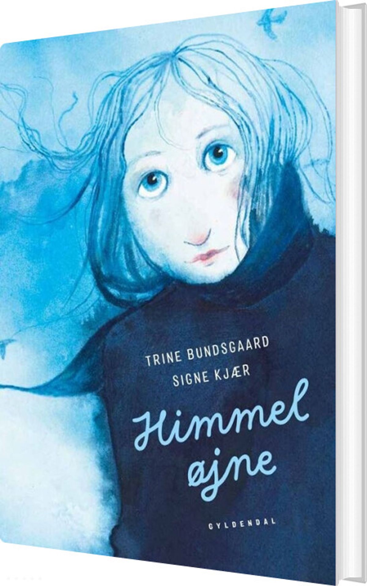 Himmeløjne - Trine Bundsgaard - Bog