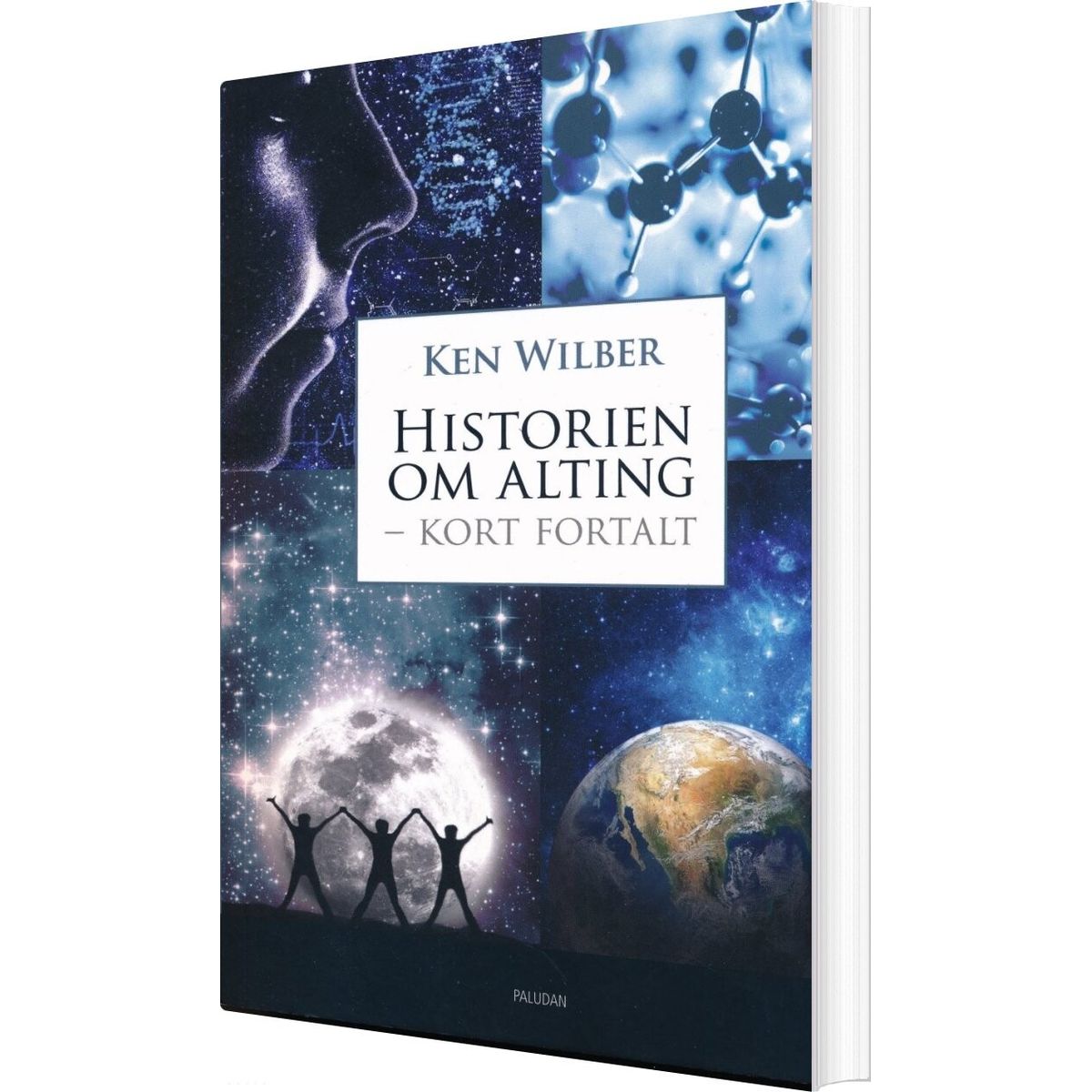 Historien Om Alting - Kort Fortalt - Ken Wilber - Bog