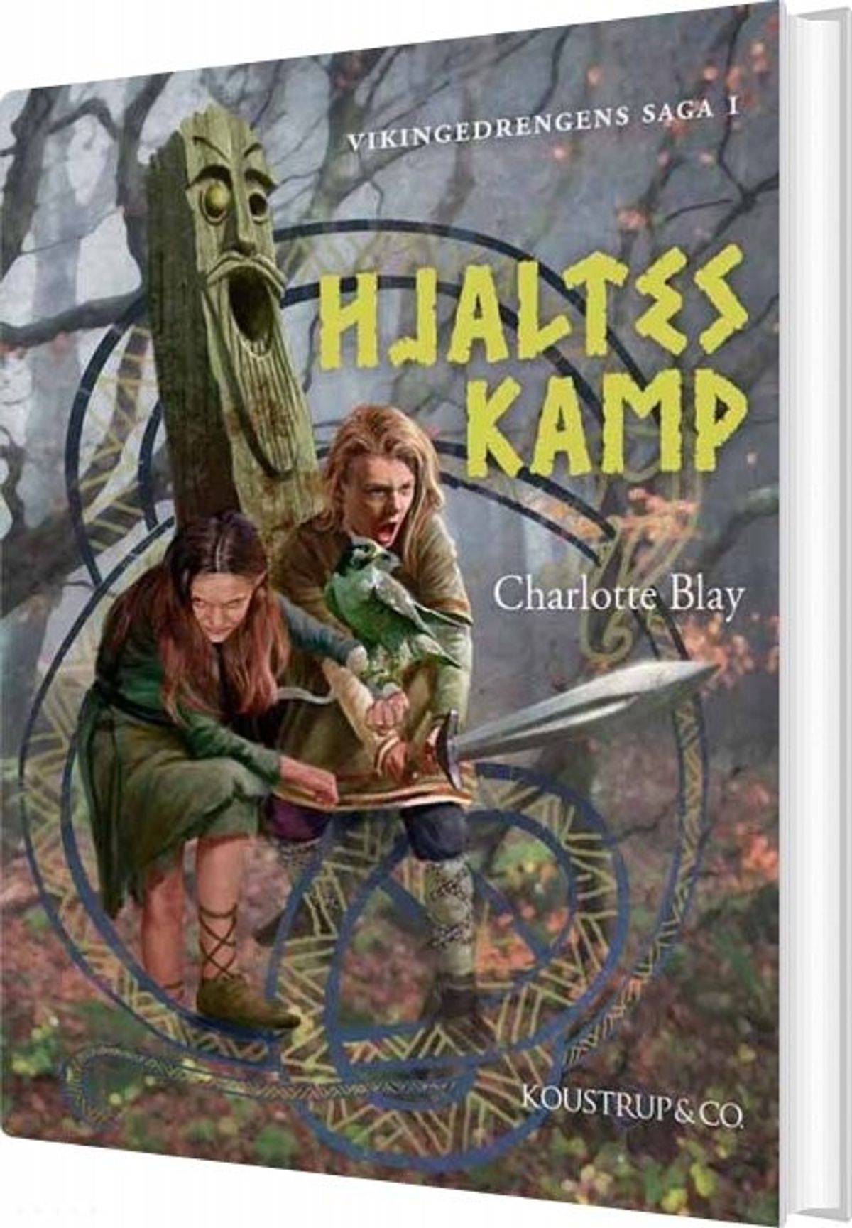 Hjaltes Kamp - Charlotte Blay - Bog