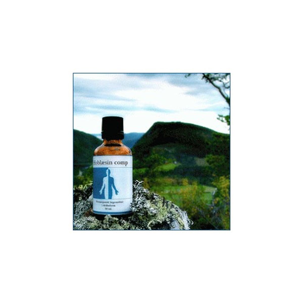 Hoblæsin comp. - 50 ml - Holistica