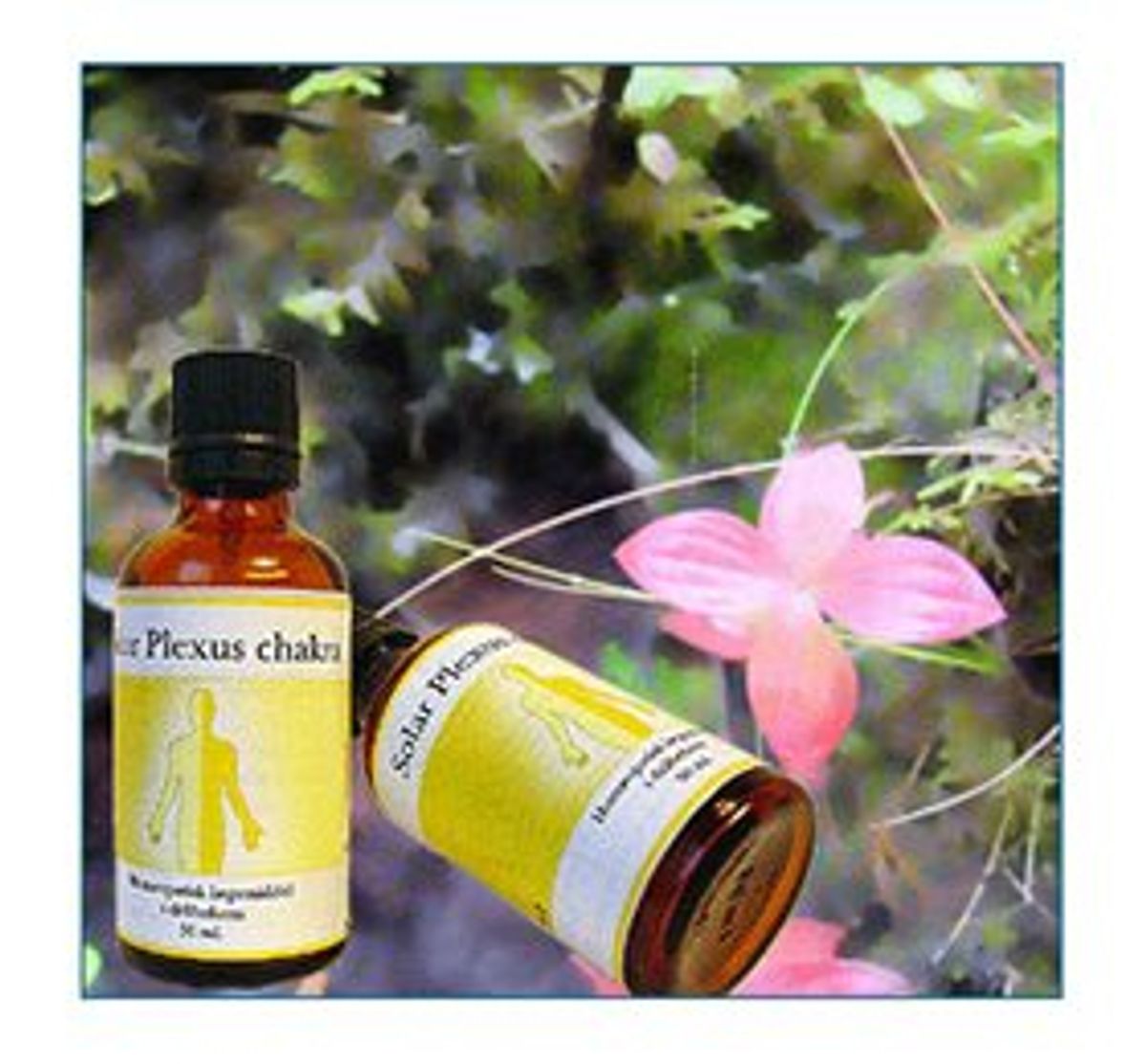 Holistica-Medica Solar plexus chakra &bull; 50ml.