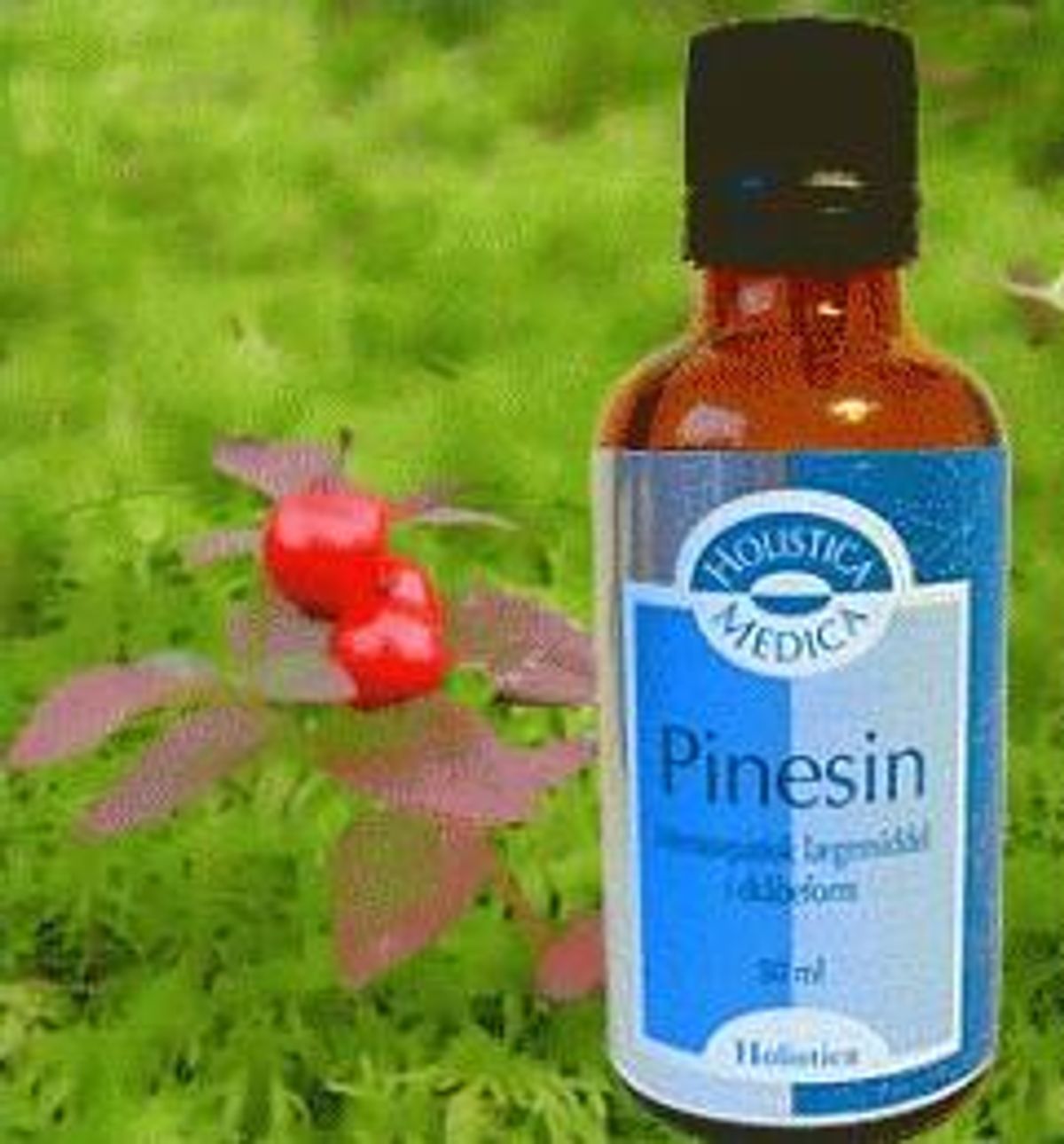 Holistica Pinesin, 50ml.