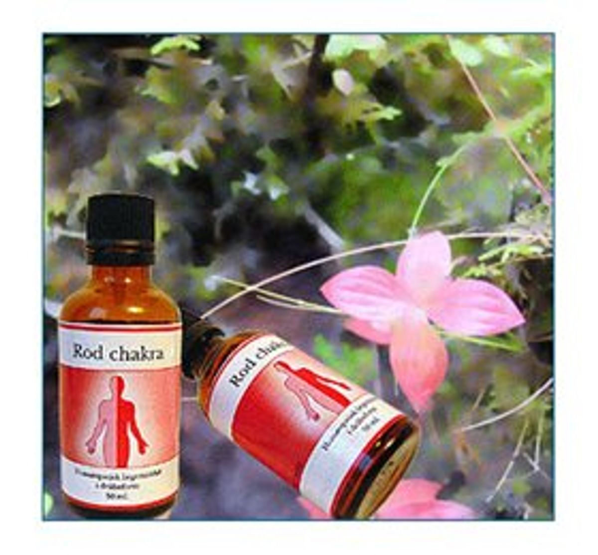 Holistica Rod feminin chakra 50ml.