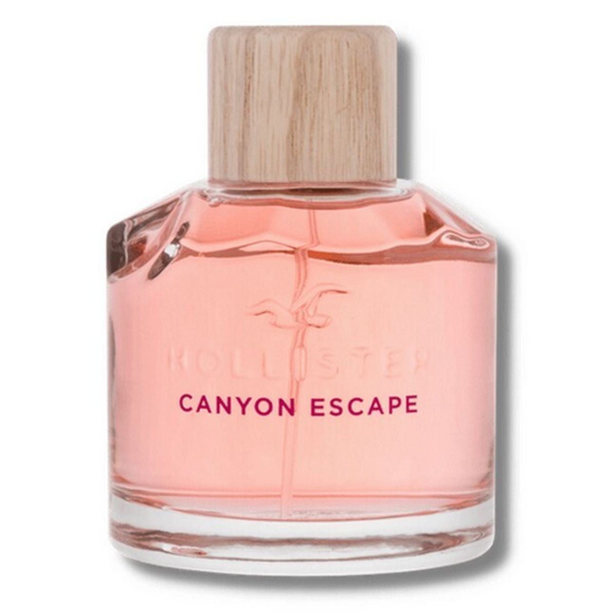 Hollister - Canyon Escape Her Eau de Parfum - 100 ml