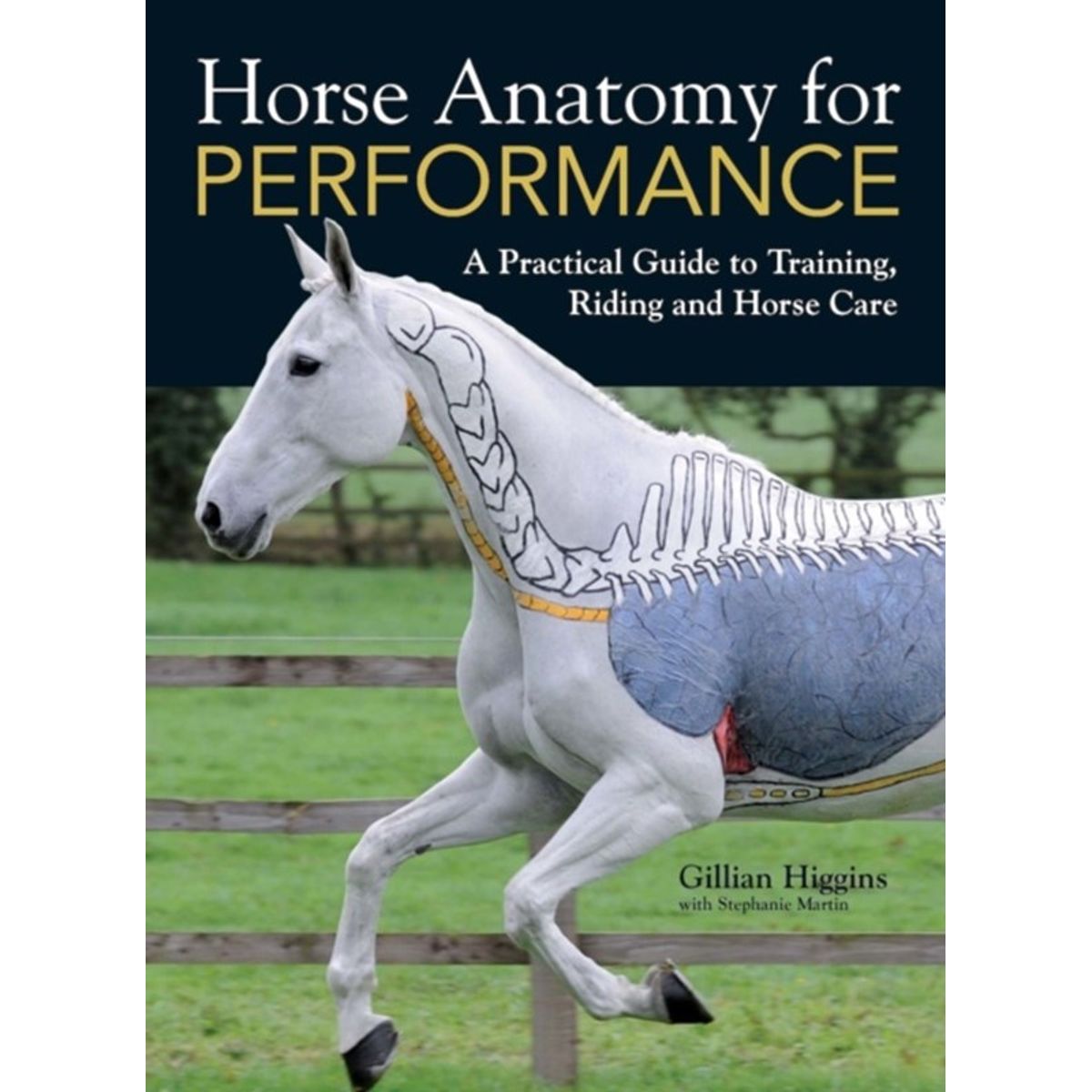 Horse Anatomy for Performance