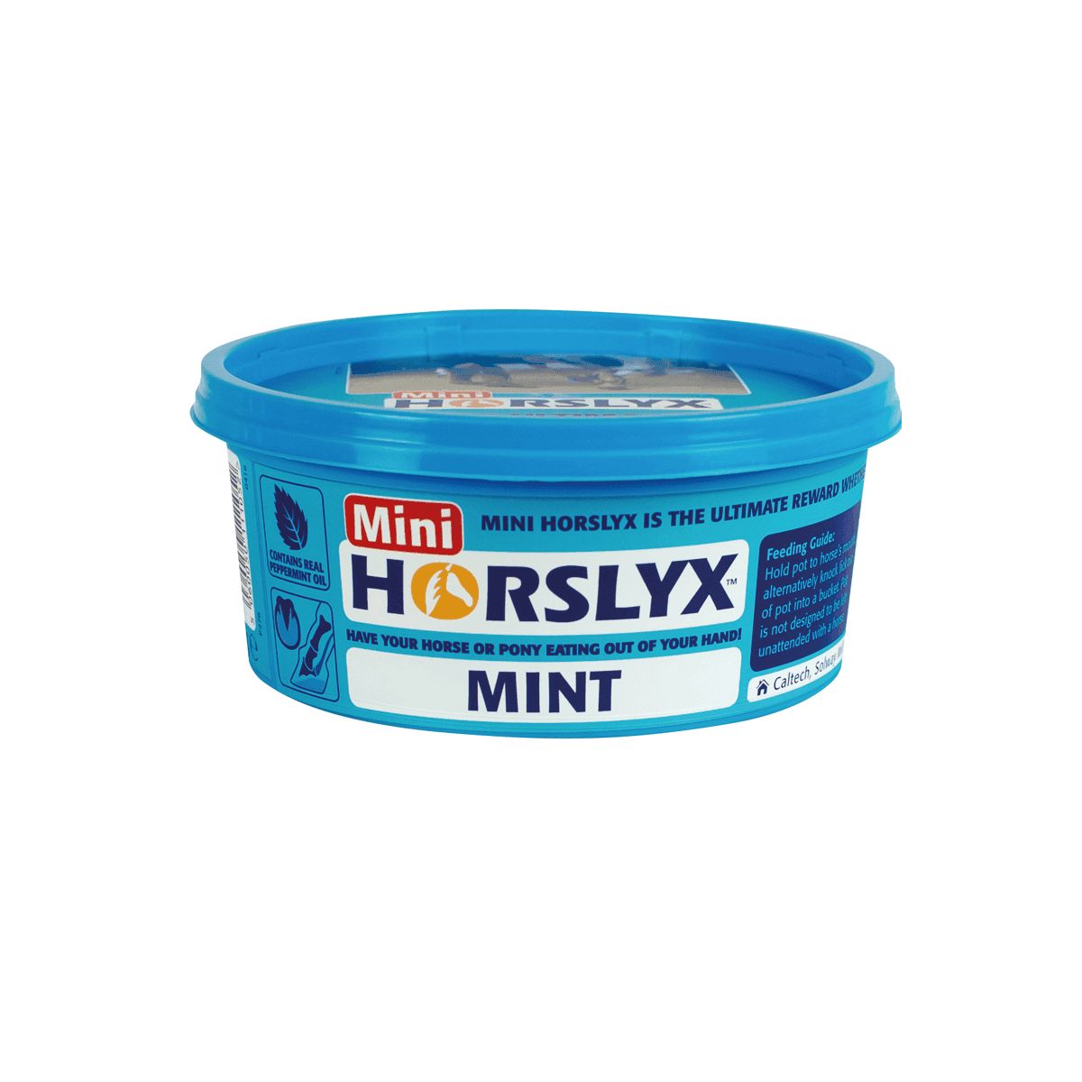 Horslyx Mint Balancer