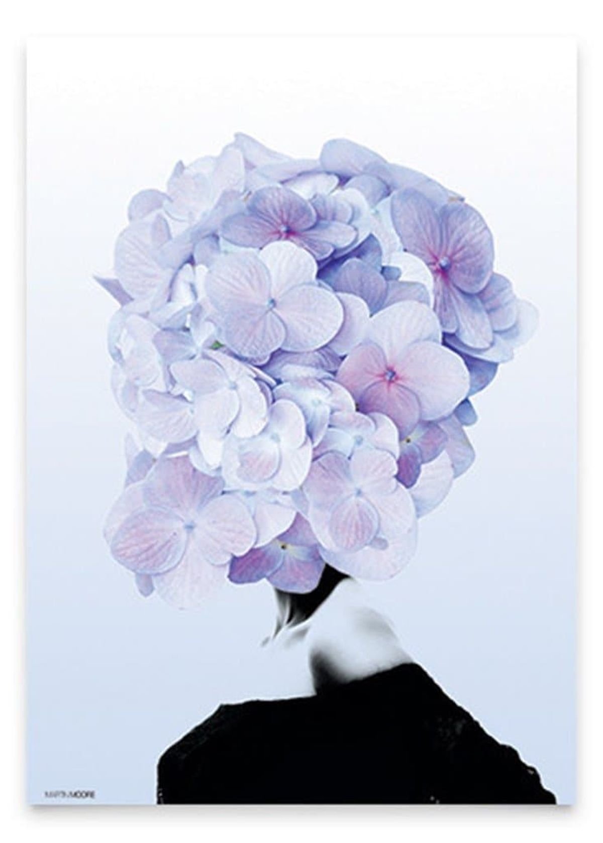 Hortensia #1 A3