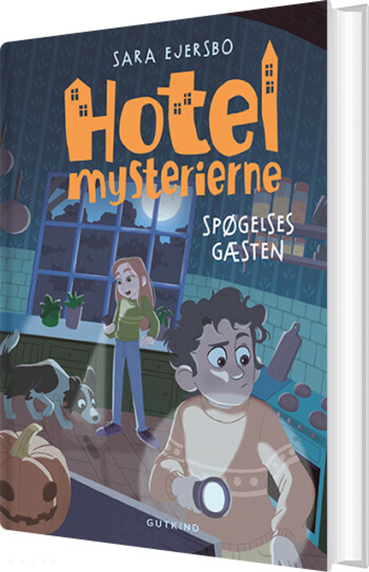 Hotelmysterierne - Spøgelsesgæsten - Sara Ejersbo - Bog