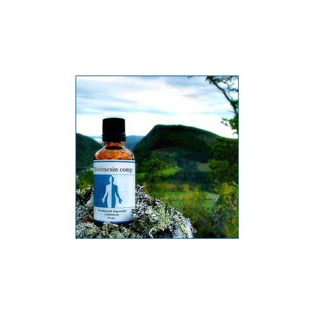 Hovenesin comp. - 50 ml - Holistica