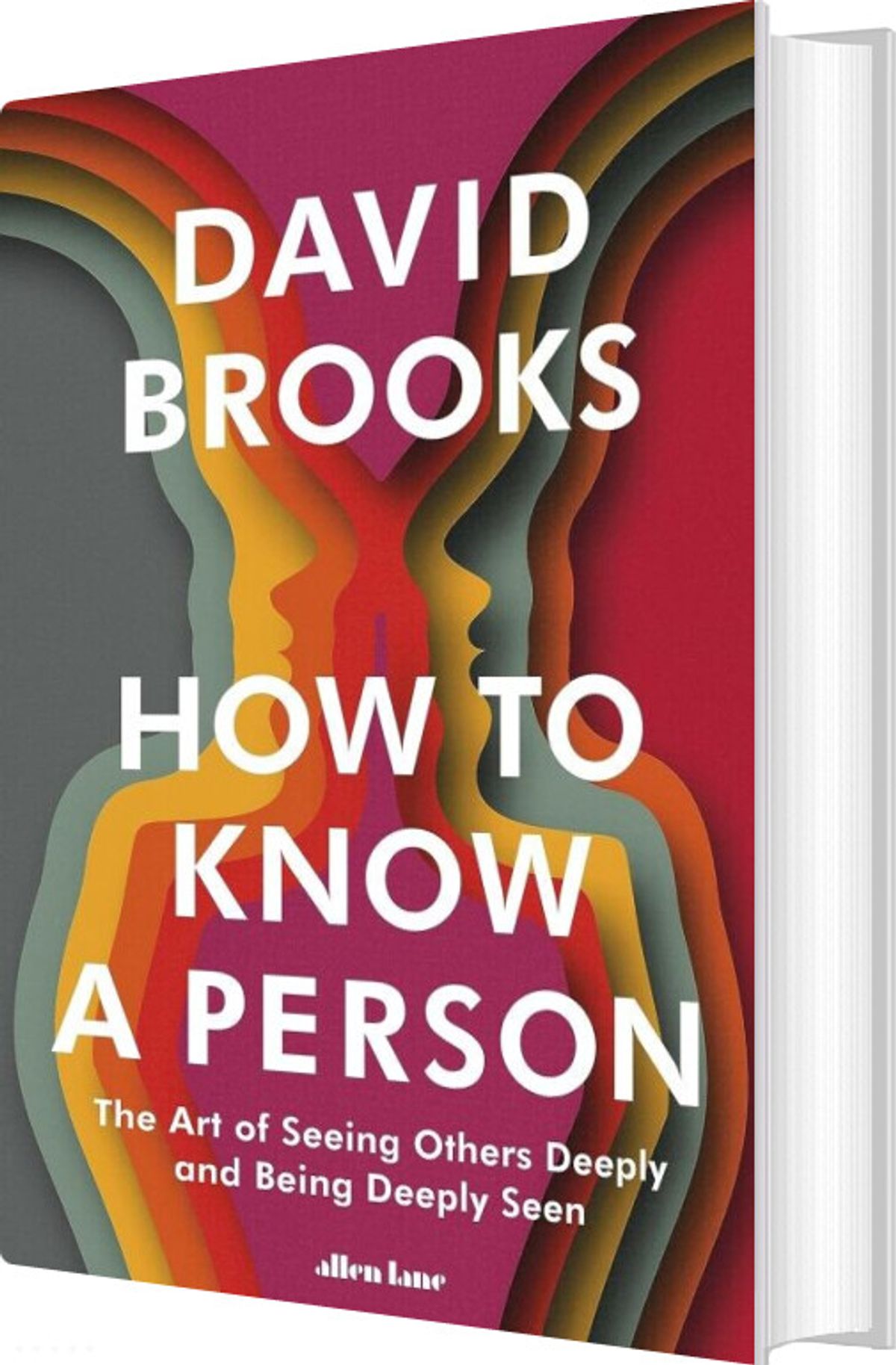 How To Know A Person - David Brooks - English Book