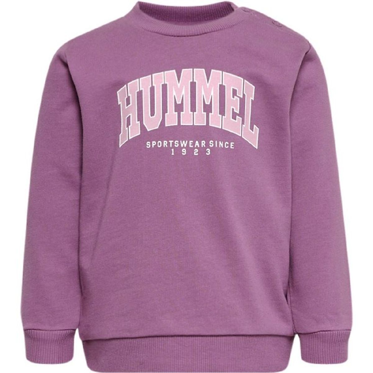 Hummel Sweatshirt - HmlFast Lime - Argyle Purple