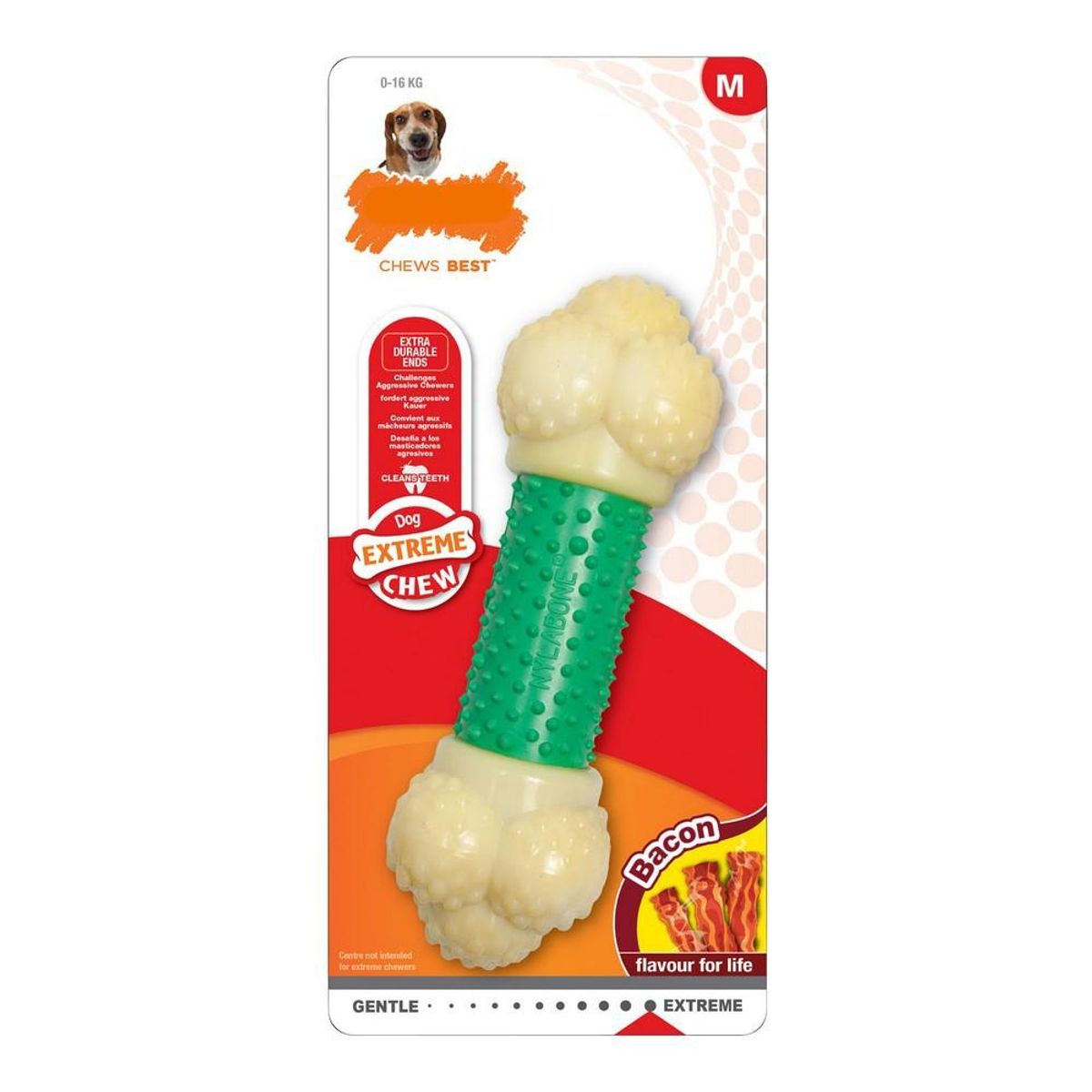 Hund Bidering Nylabone Extreme Chew Double Action Bacon Mint 2-i-1 Gummi Størrelse XL Nylon