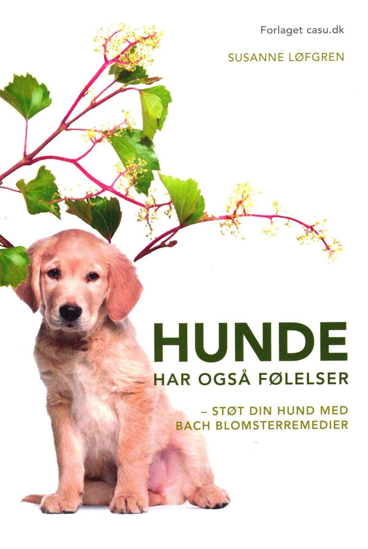 Hunde har også følelser